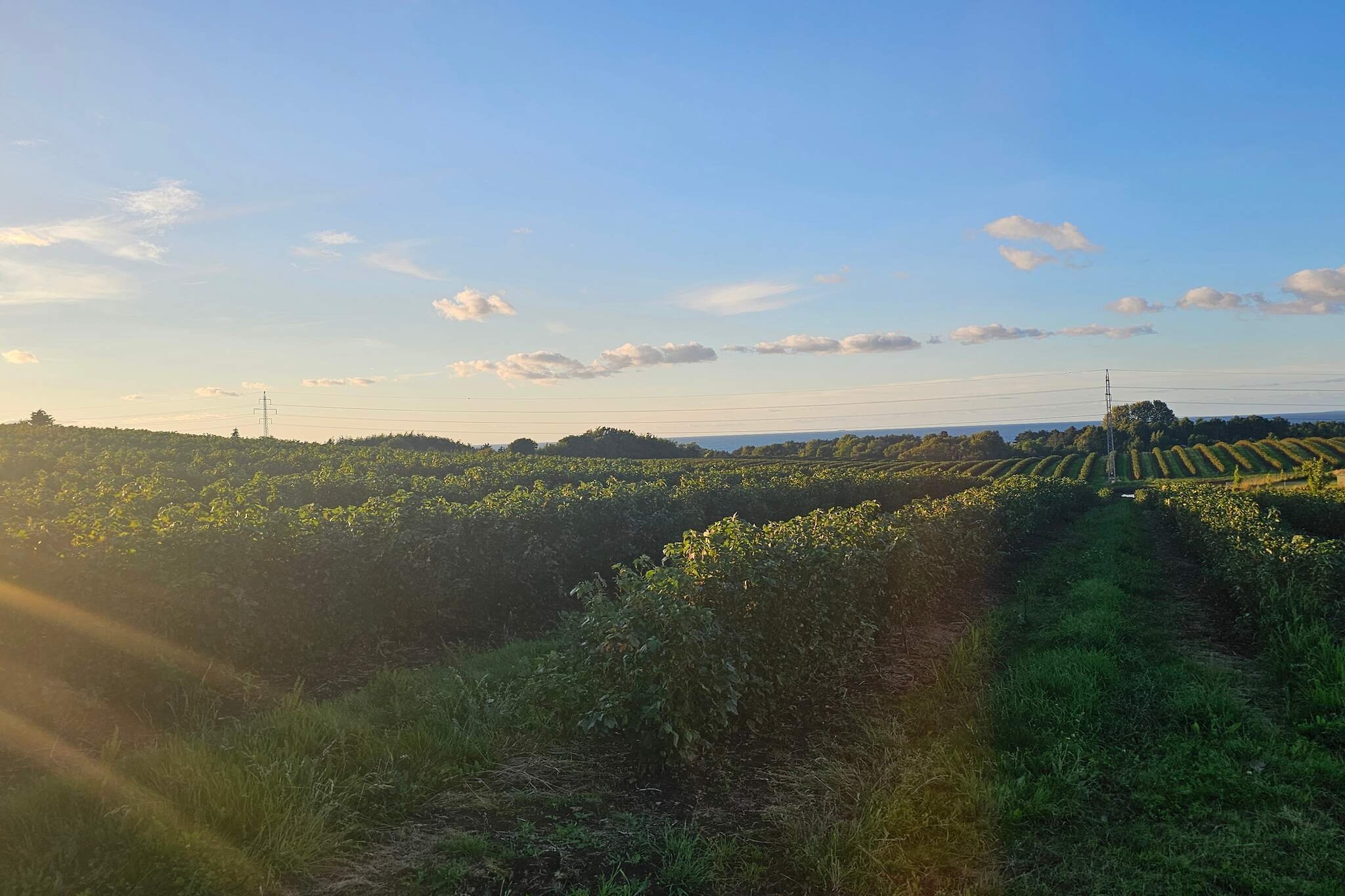 Maison de vacances pour 8 a Nykøbing Sj