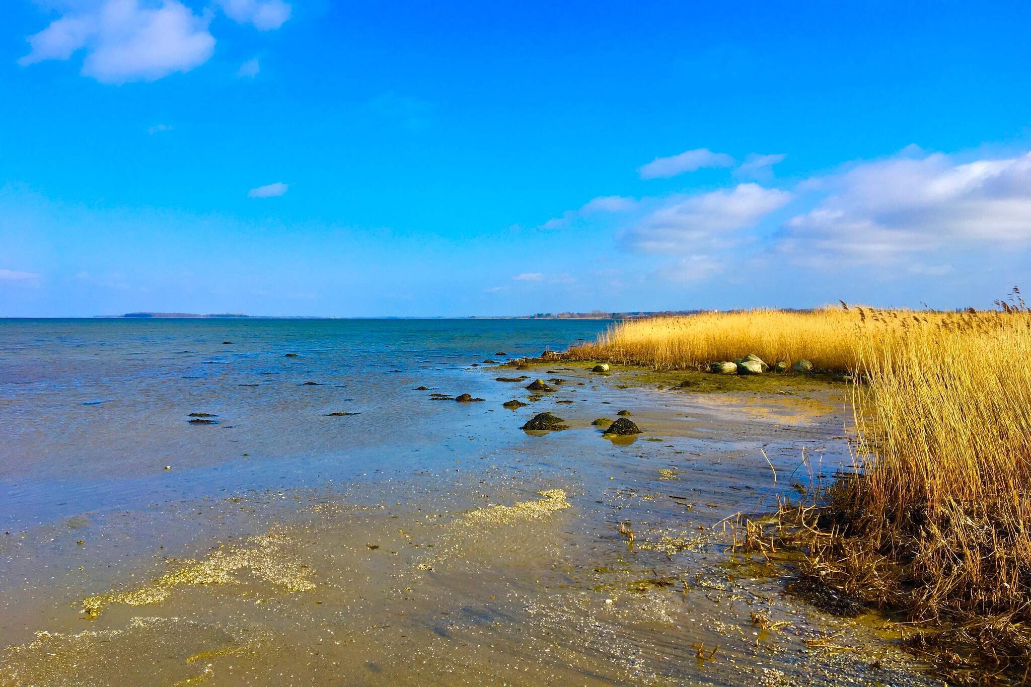 6 persoons vakantie huis in Bogø By-Waterzicht