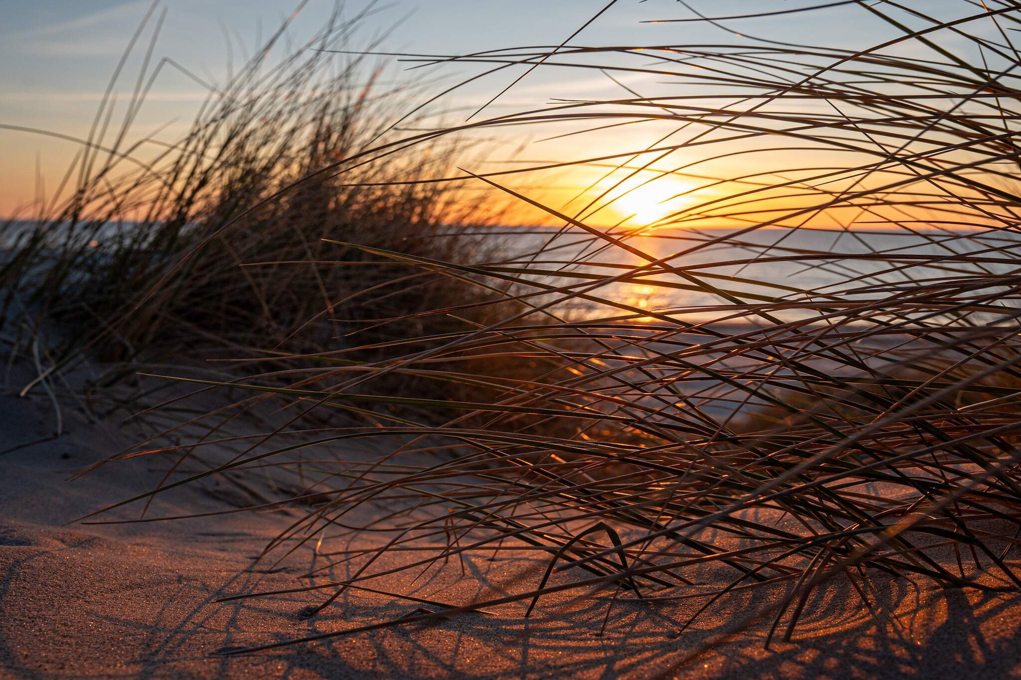 6 persoons vakantie huis in Blokhus-By Traum