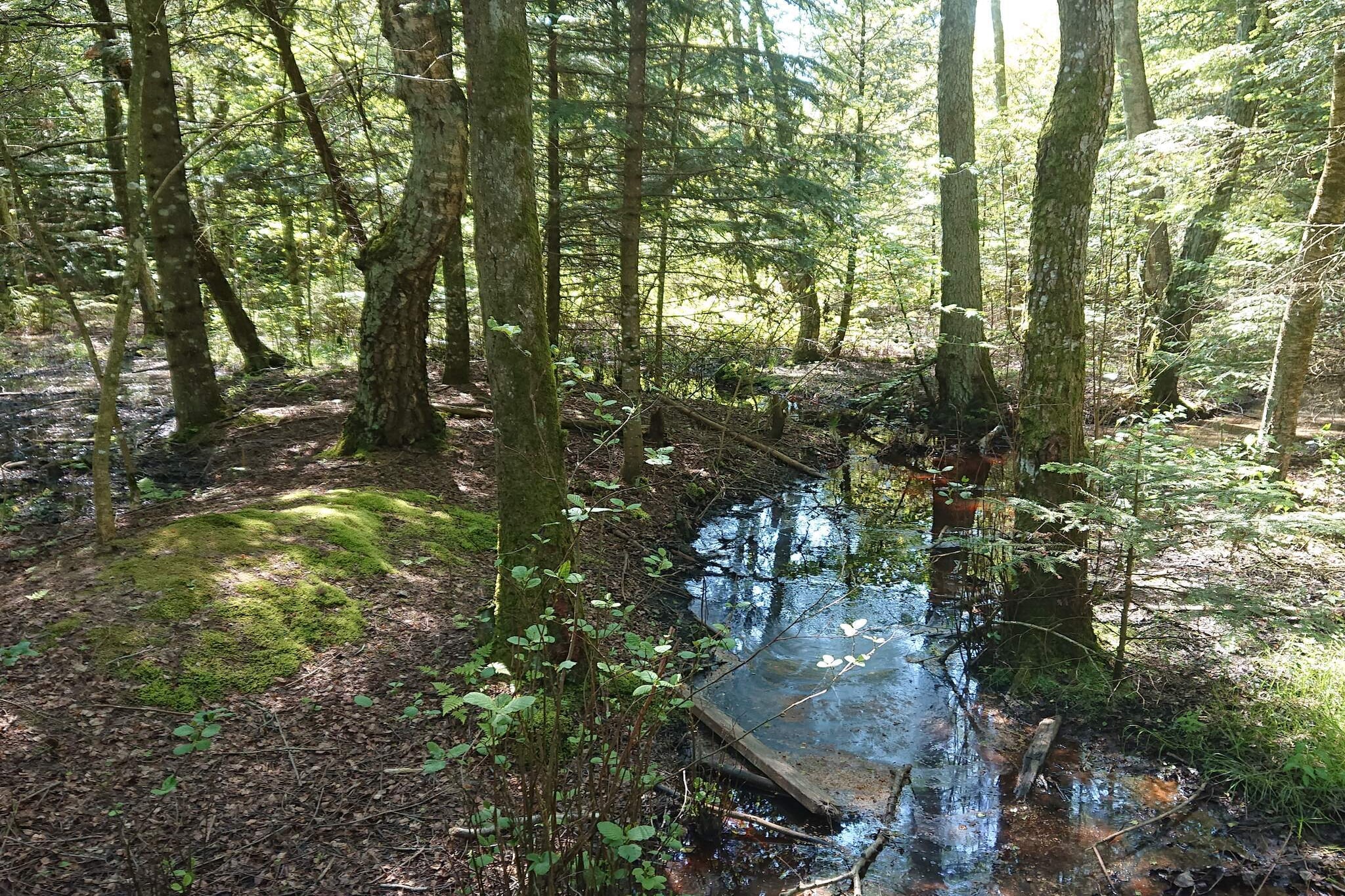 Gezinsuitje in Lodskovvad -- By Traum Ferienwohnungen-Waterzicht