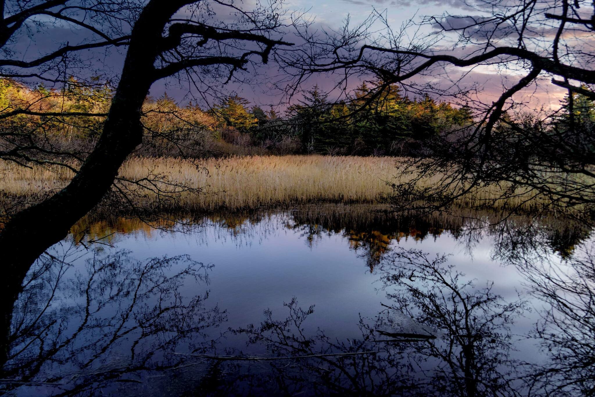 Gezinsuitje in Lodskovvad -- By Traum Ferienwohnungen-Waterzicht
