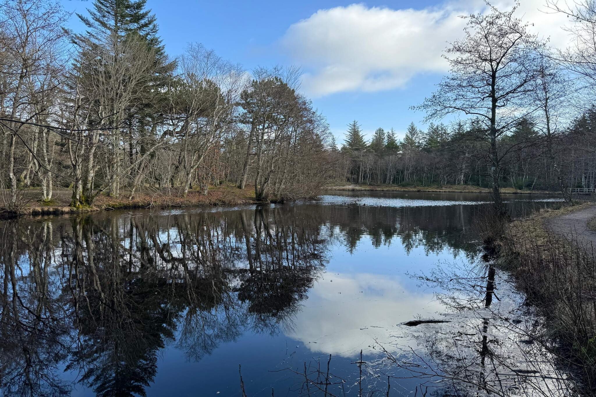 Gezinsuitje in Lodskovvad -- By Traum Ferienwohnungen-Waterzicht