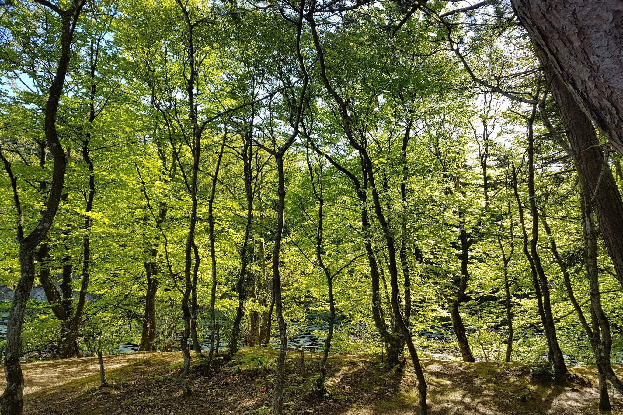 Familievakantie in Lodskovvad - Buitenlucht