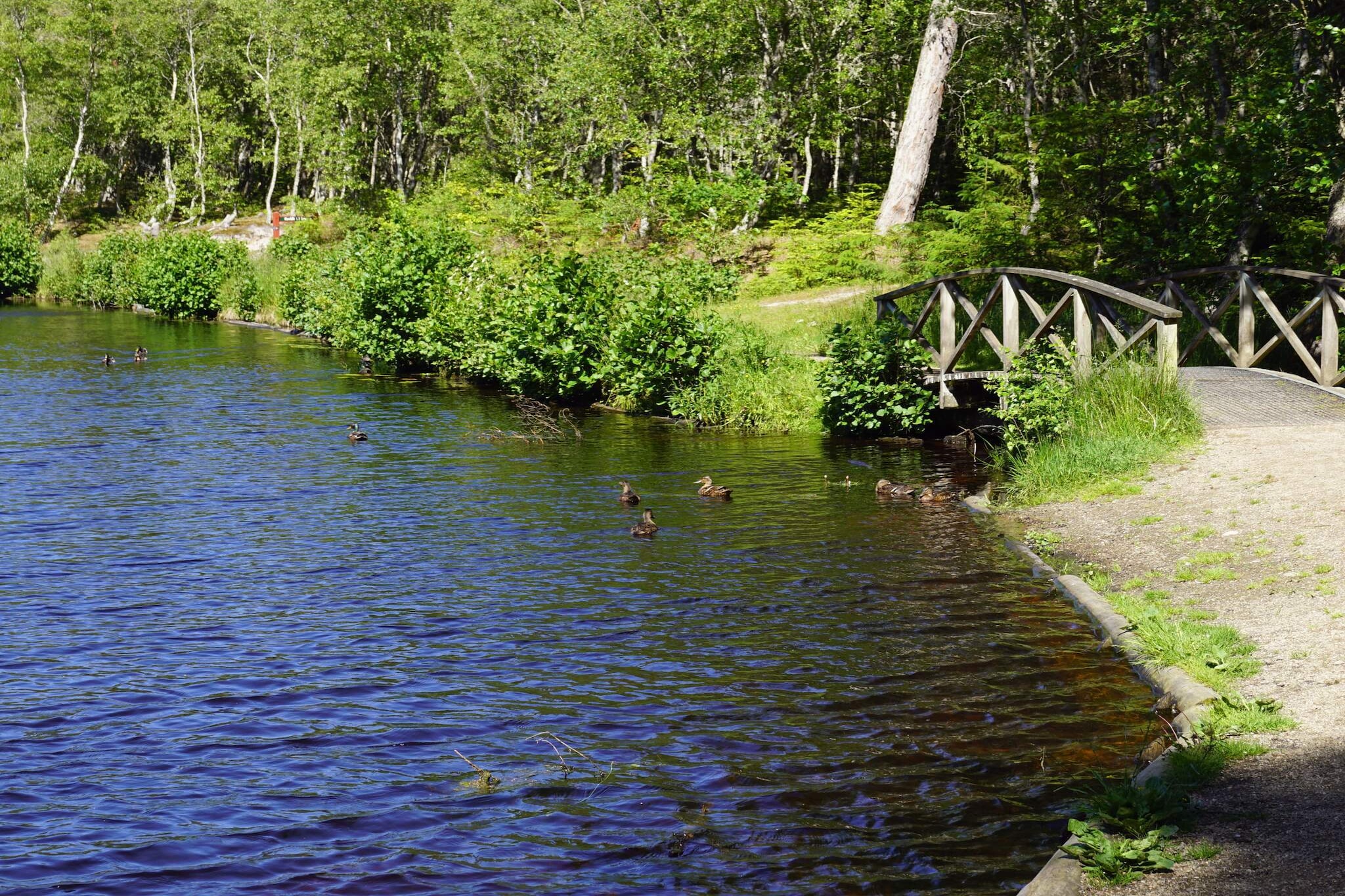 Familievakantie in Lodskovvad - Waterzicht