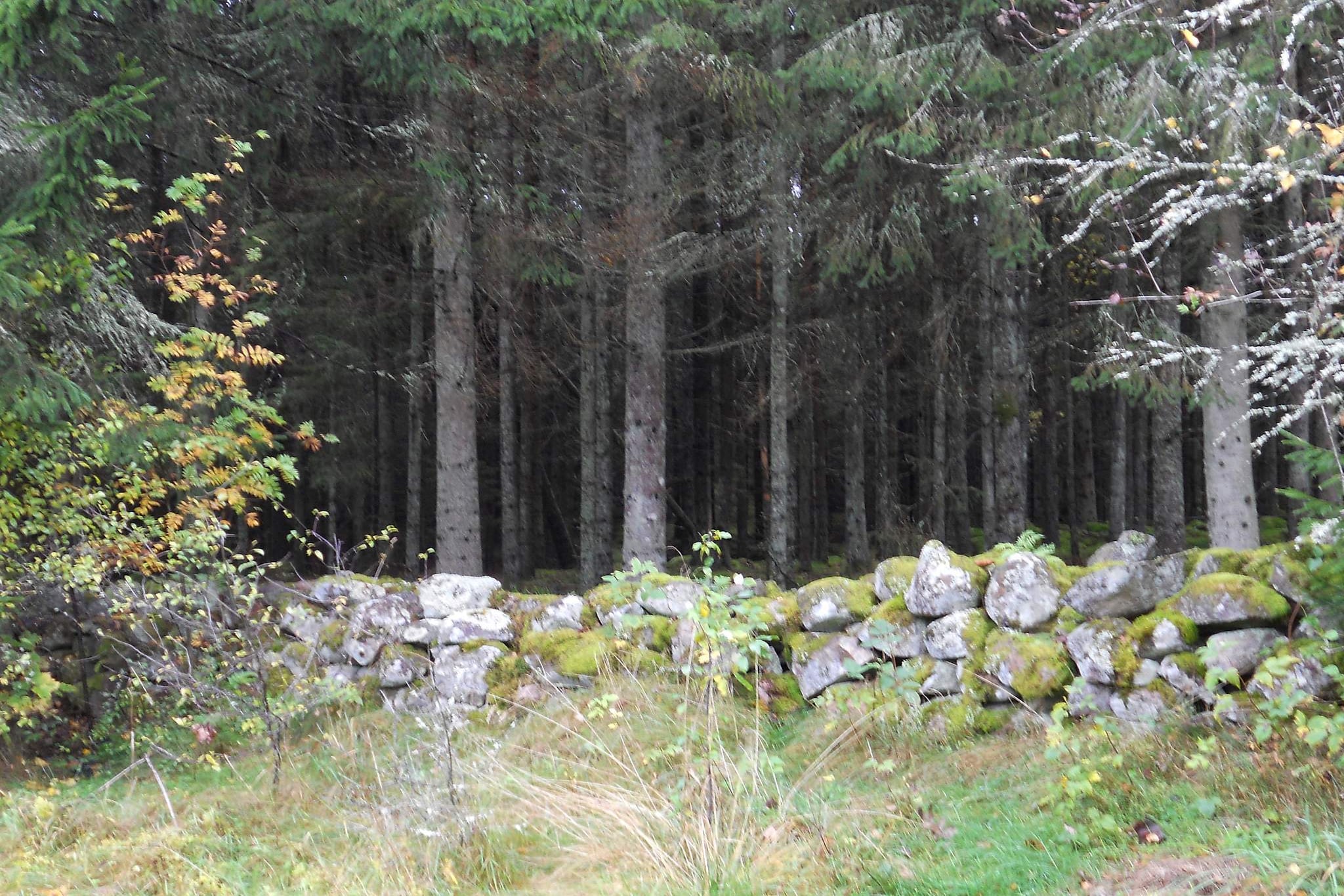 6 persoons vakantie huis in Osby-By Traum