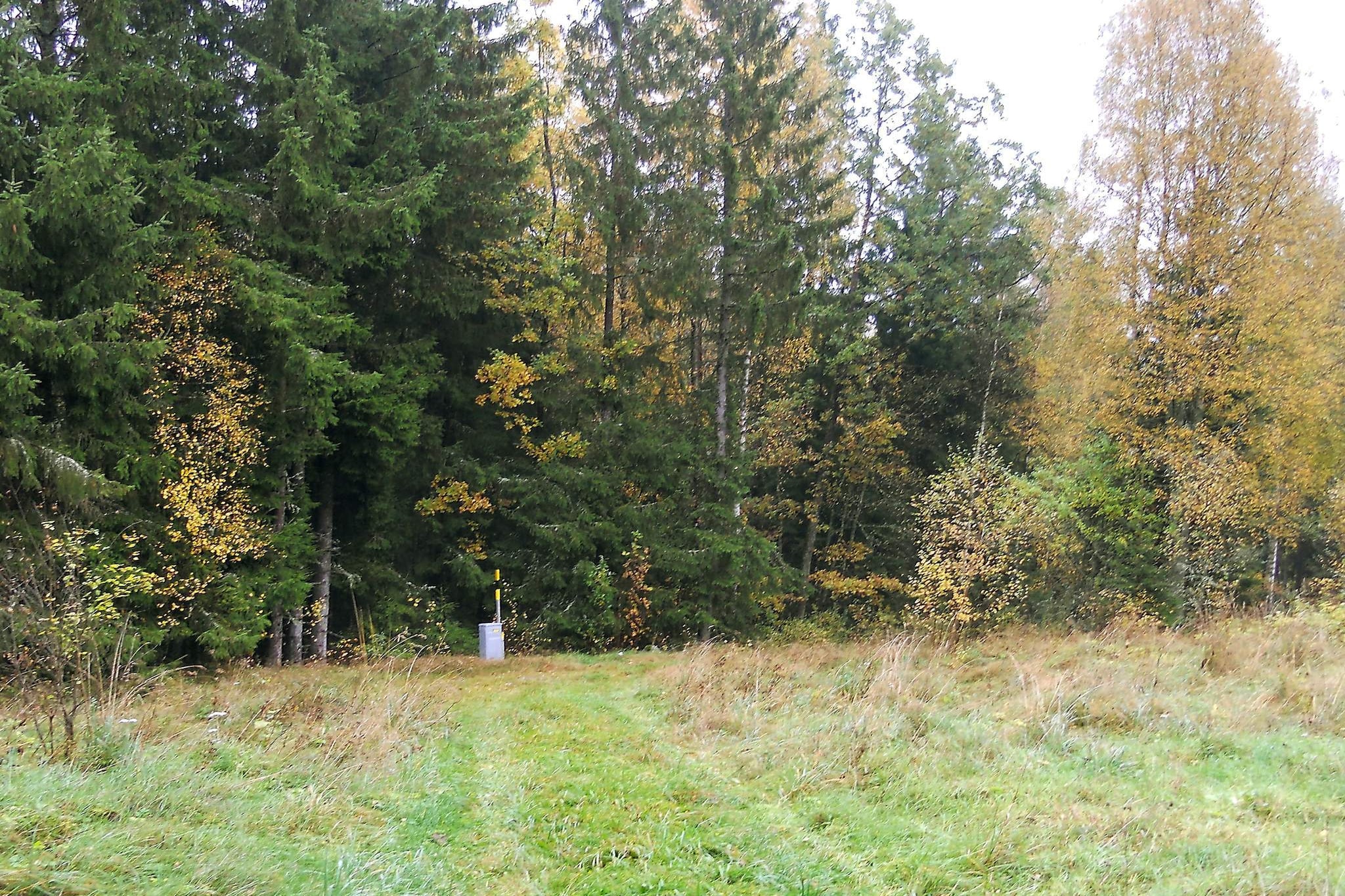 6 persoons vakantie huis in Osby-By Traum - Uitzicht