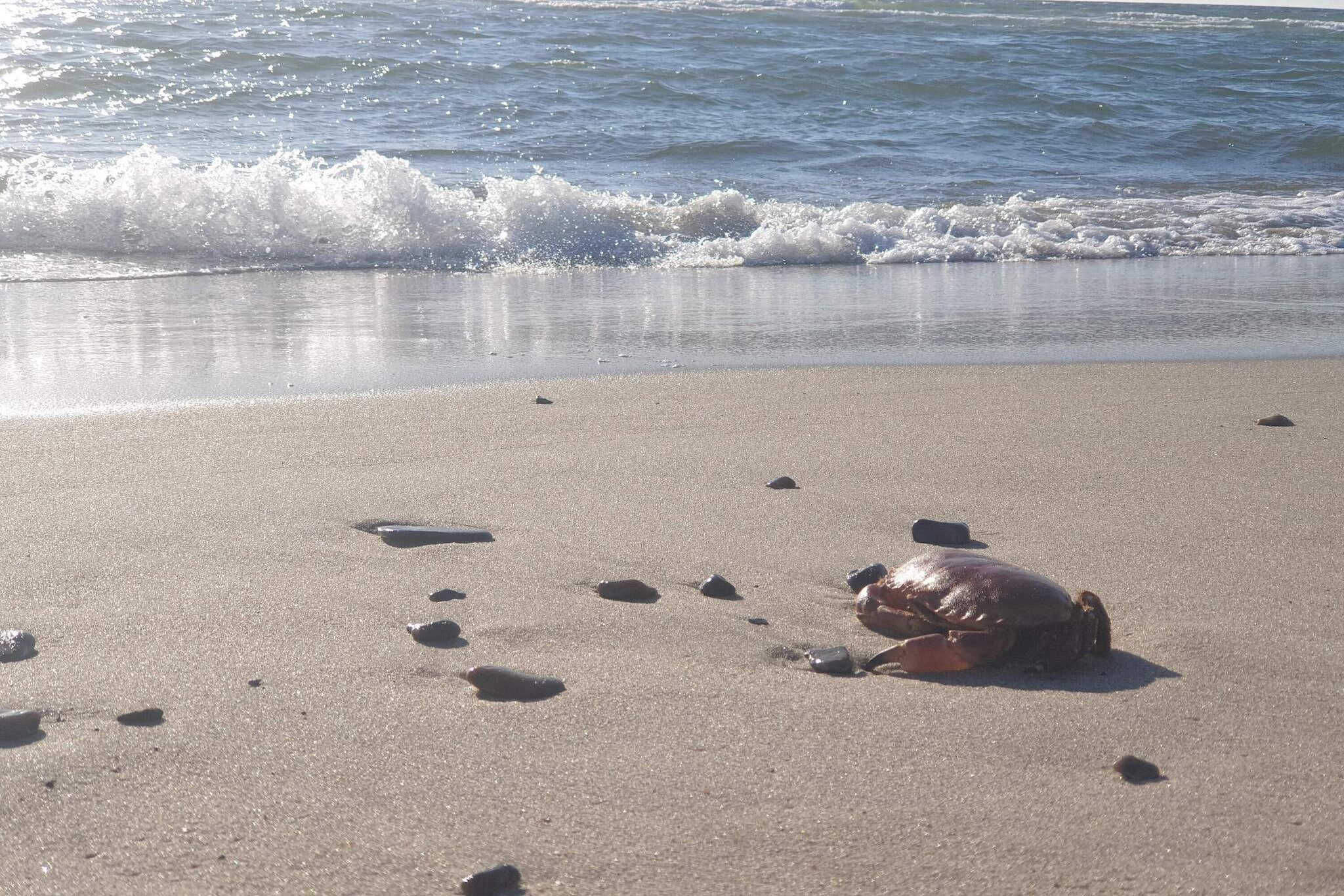 6 persoons vakantie huis in Ringkøbing-By Traum-Waterzicht