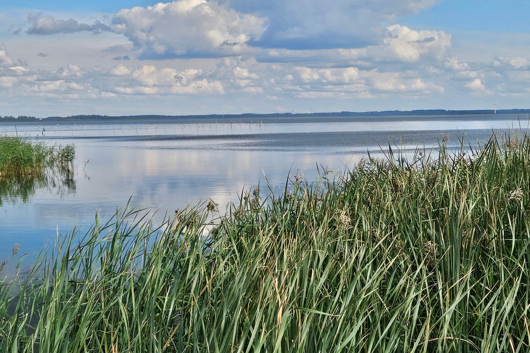 7 persoons vakantie huis in Ulfborg-By Traum - Waterzicht