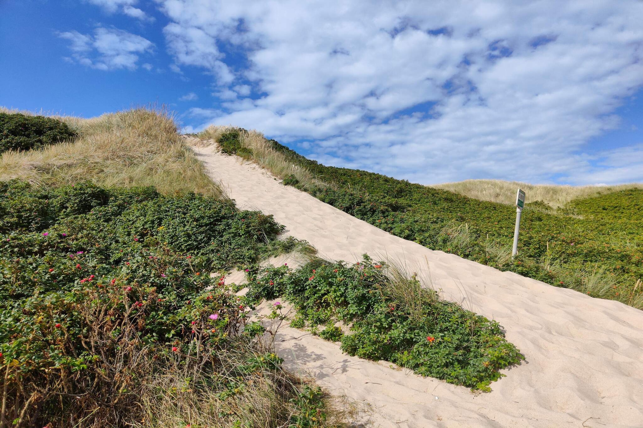 6 persoons vakantie huis in Ringkøbing-By Traum-Niet-getagd