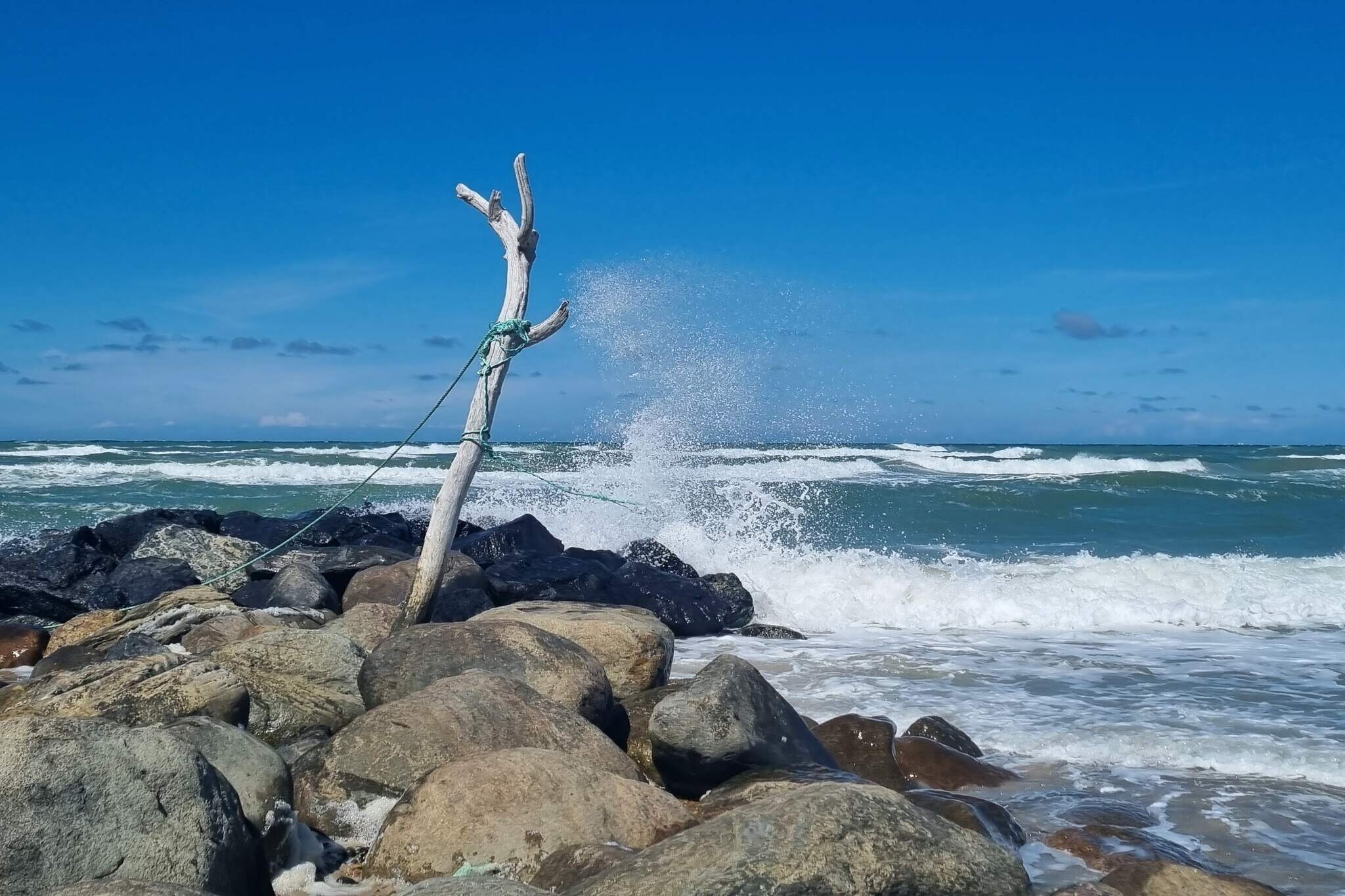 Maison de vacances pour 4 a Skagen-By Traum-Vue sur l'eau