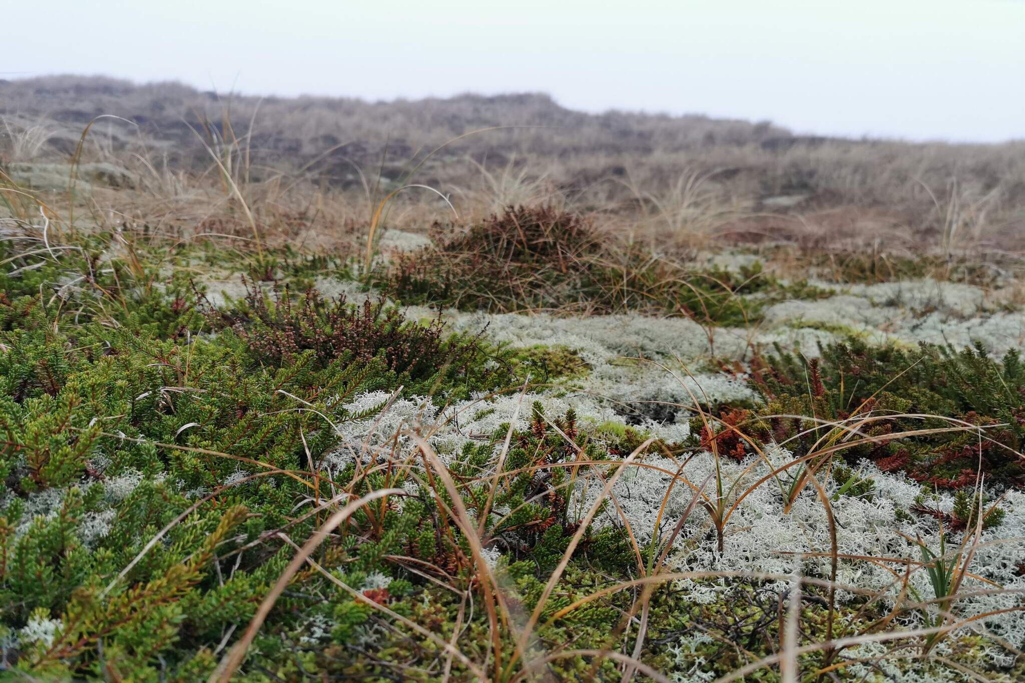 6 person holiday home in Ringkøbing-By Traum