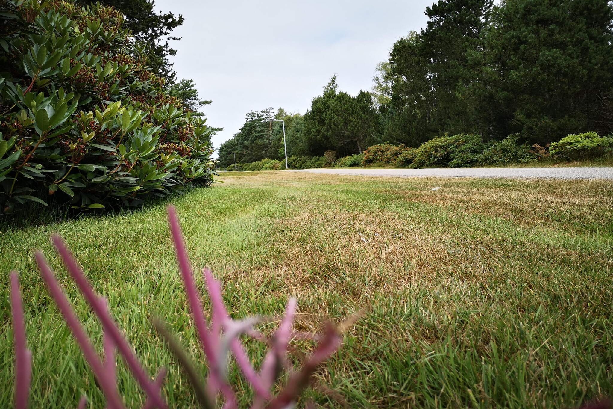 6 persoons vakantie huis in Læsø-By Traum-Niet-getagd