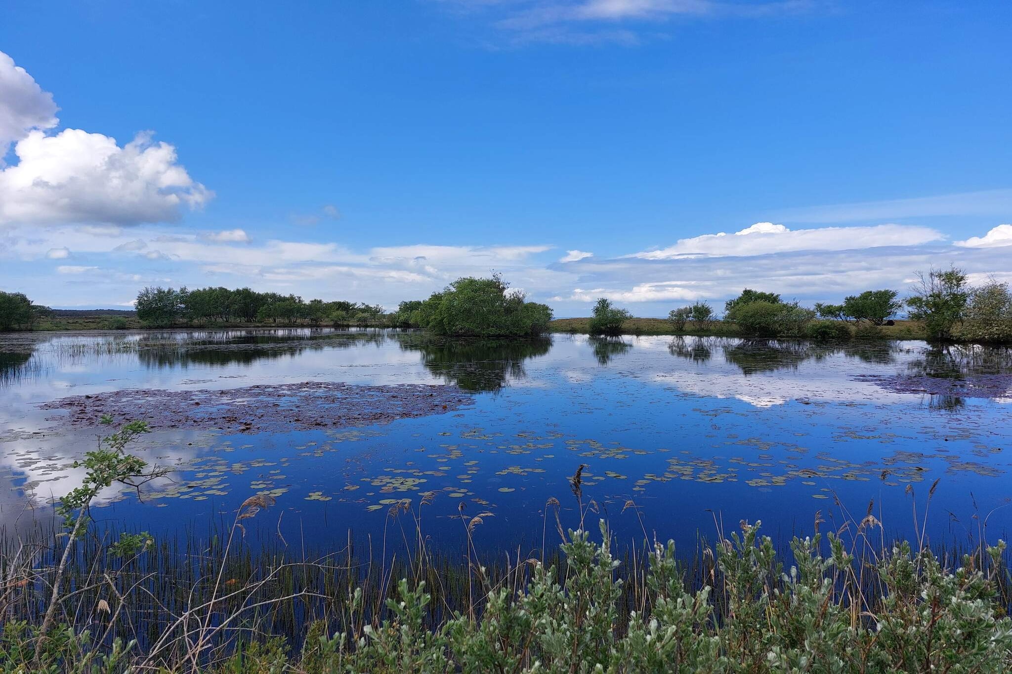 6 persoons vakantie huis in Læsø-By Traum-Waterzicht