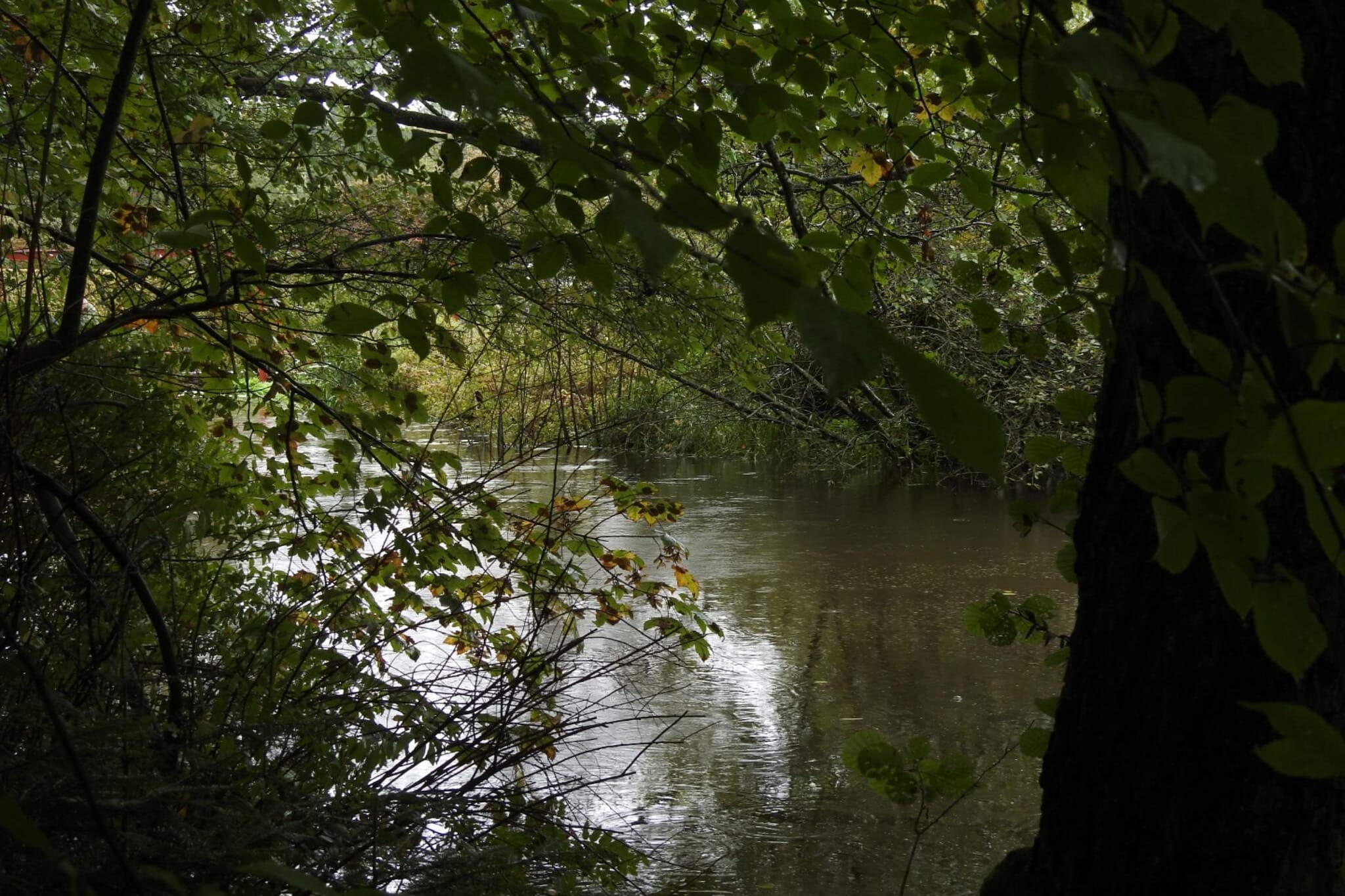 Maison de vacances pour 6 a Ålbæk-By Traum