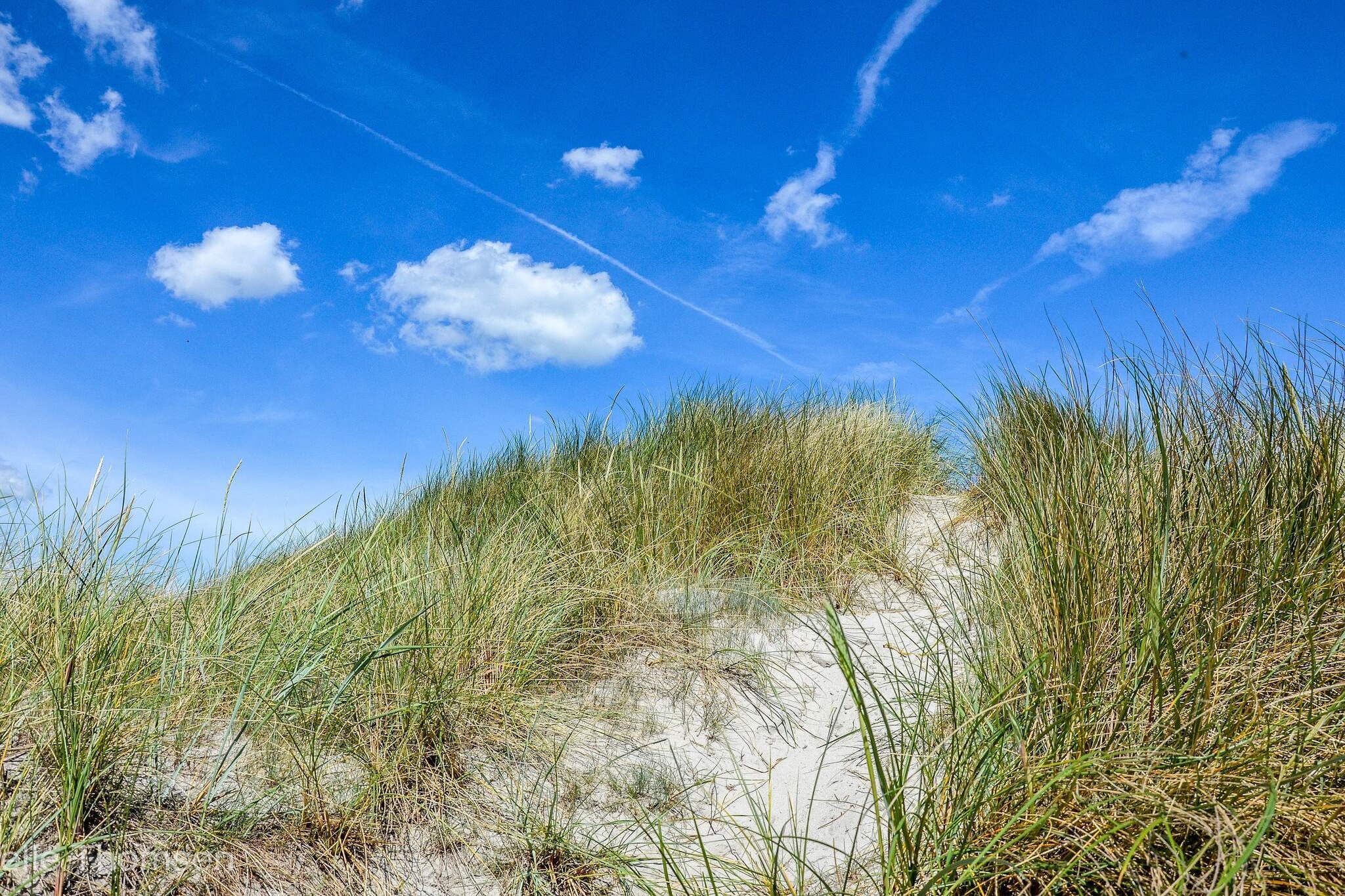 Maison de vacances pour 6 a Ålbæk-By Traum-Non tagué