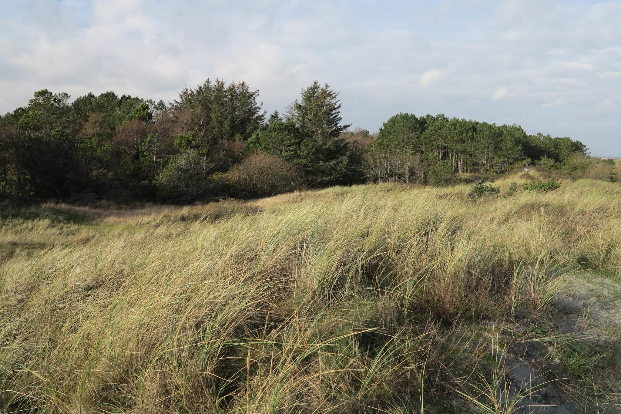 Maison de vacances pour 6 a Ålbæk-By Traum-Non tagué