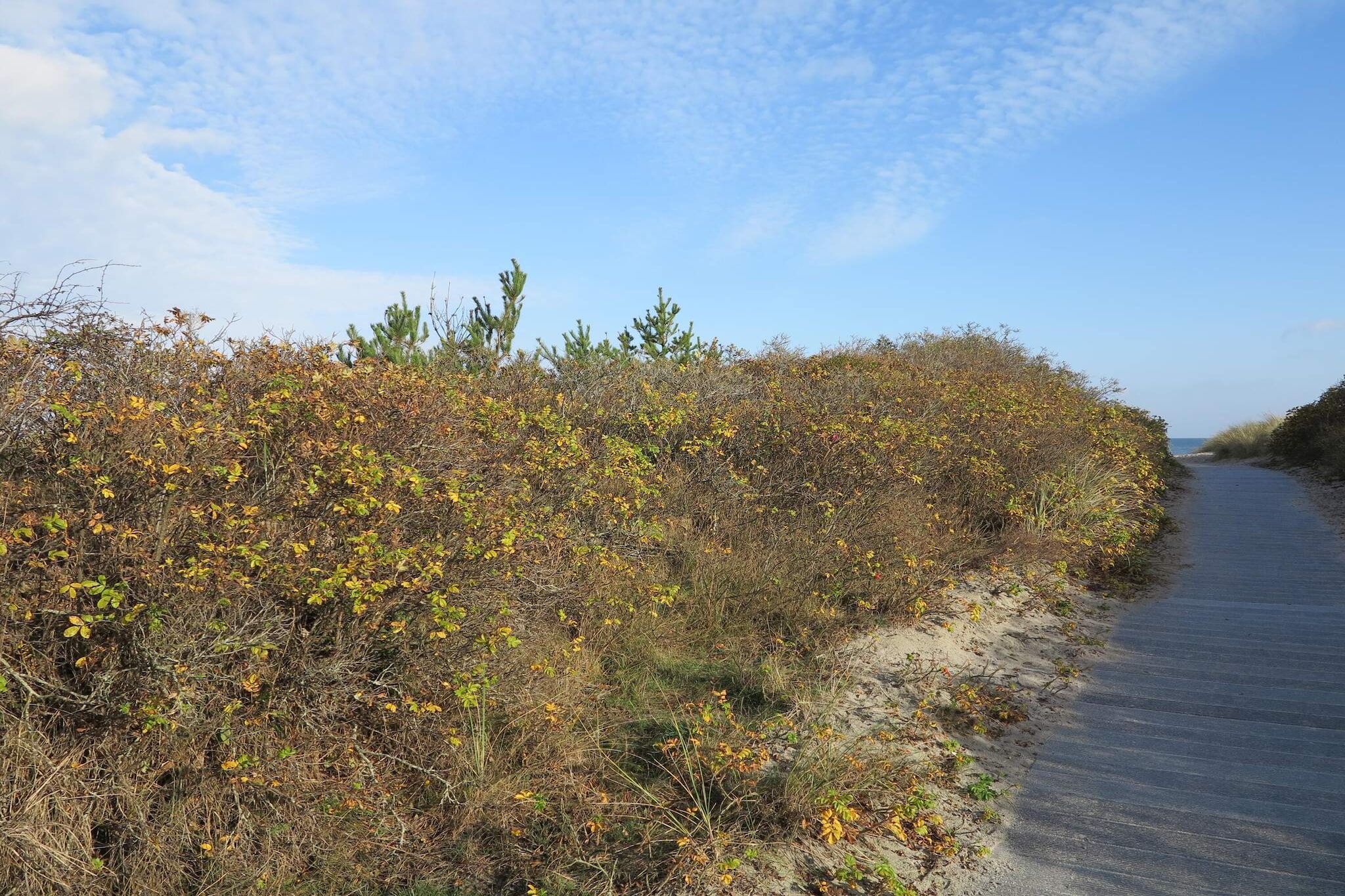 Maison de vacances pour 6 a Ålbæk-By Traum-Non tagué