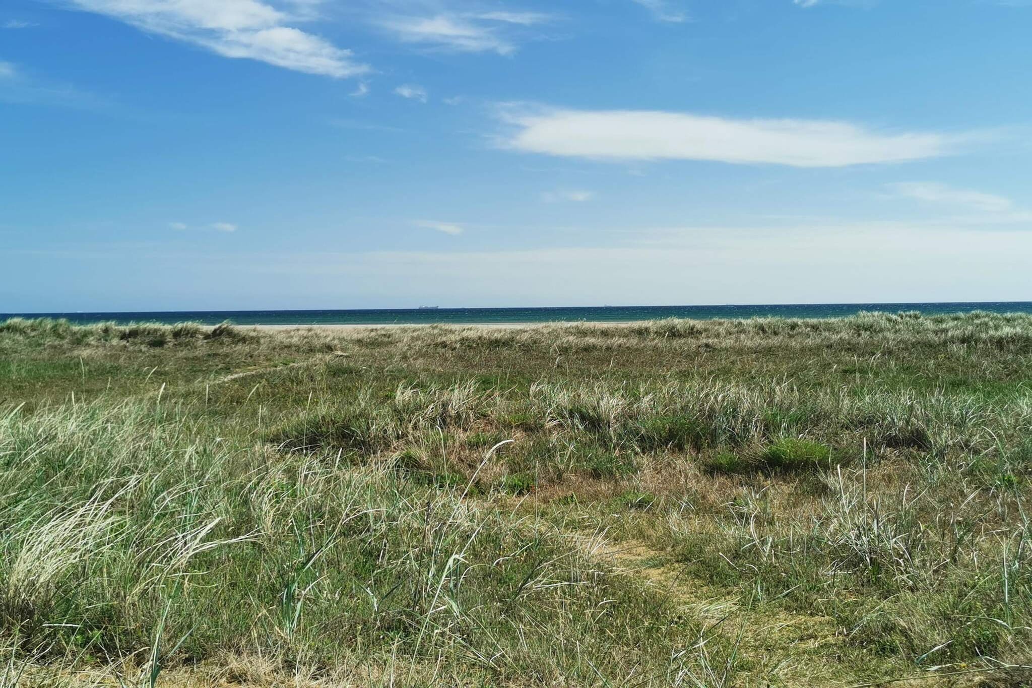 Maison de vacances pour 6 a Ålbæk-By Traum-Non tagué