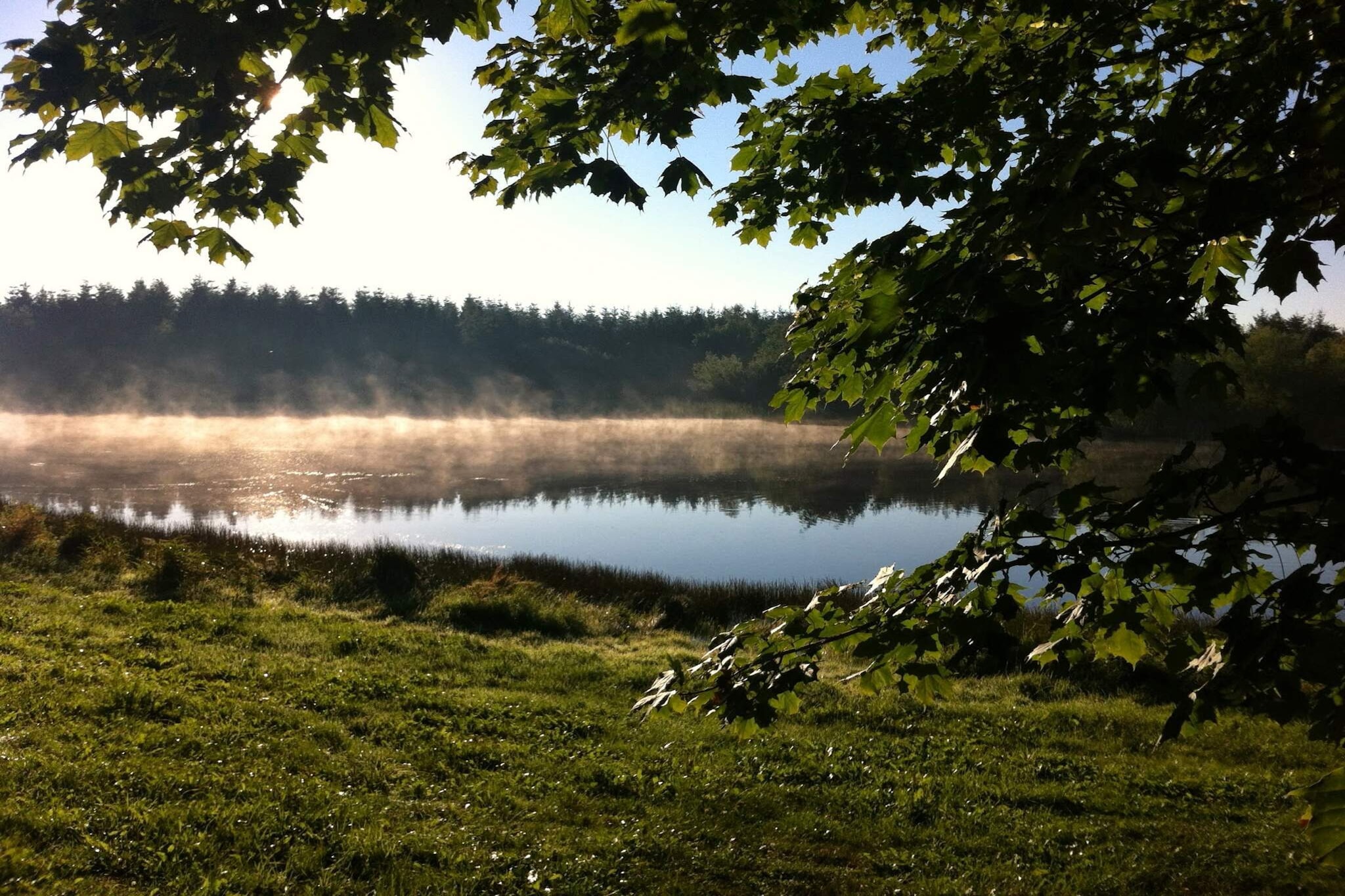 6 persoons vakantie huis in Silkeborg-By Traum