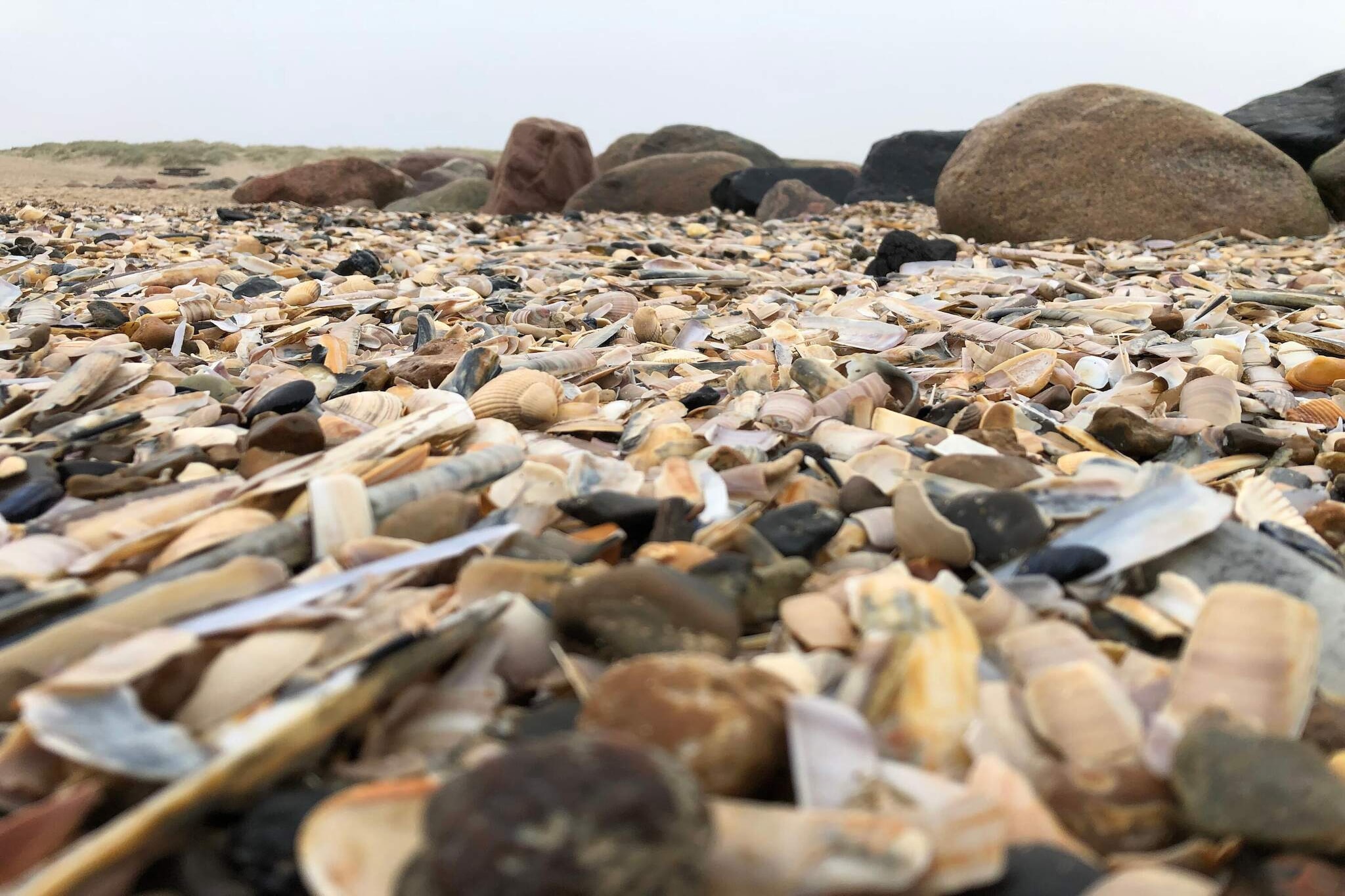 4 person holiday home in Blåvand