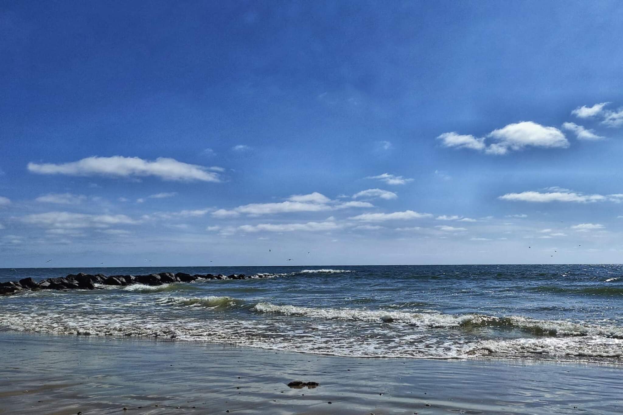 4 persoons vakantie huis in Blåvand - Waterzicht