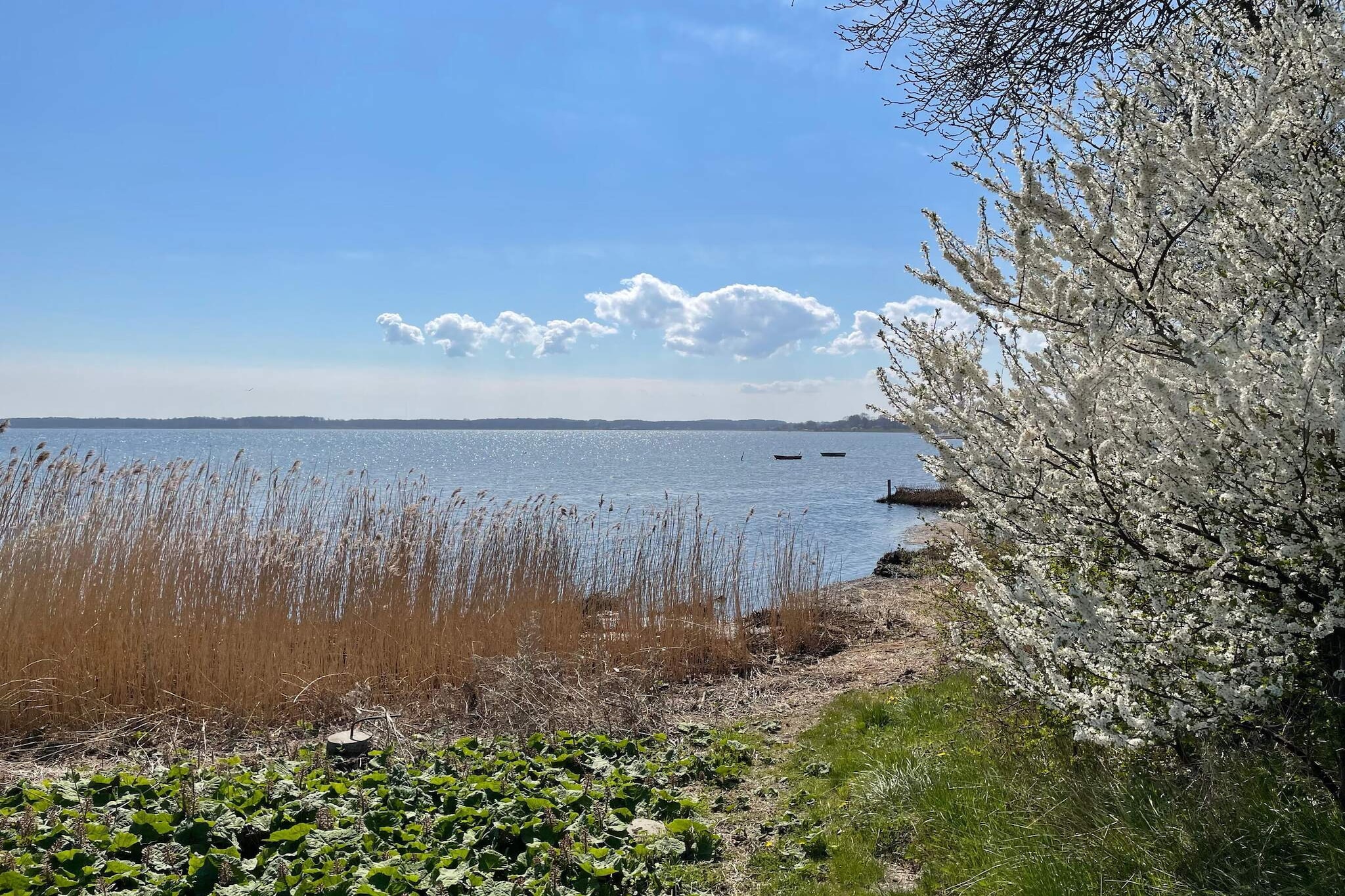 Évasion en bord de mer a Praesto -- By Traum Ferienwohnungen-Vue sur l'eau
