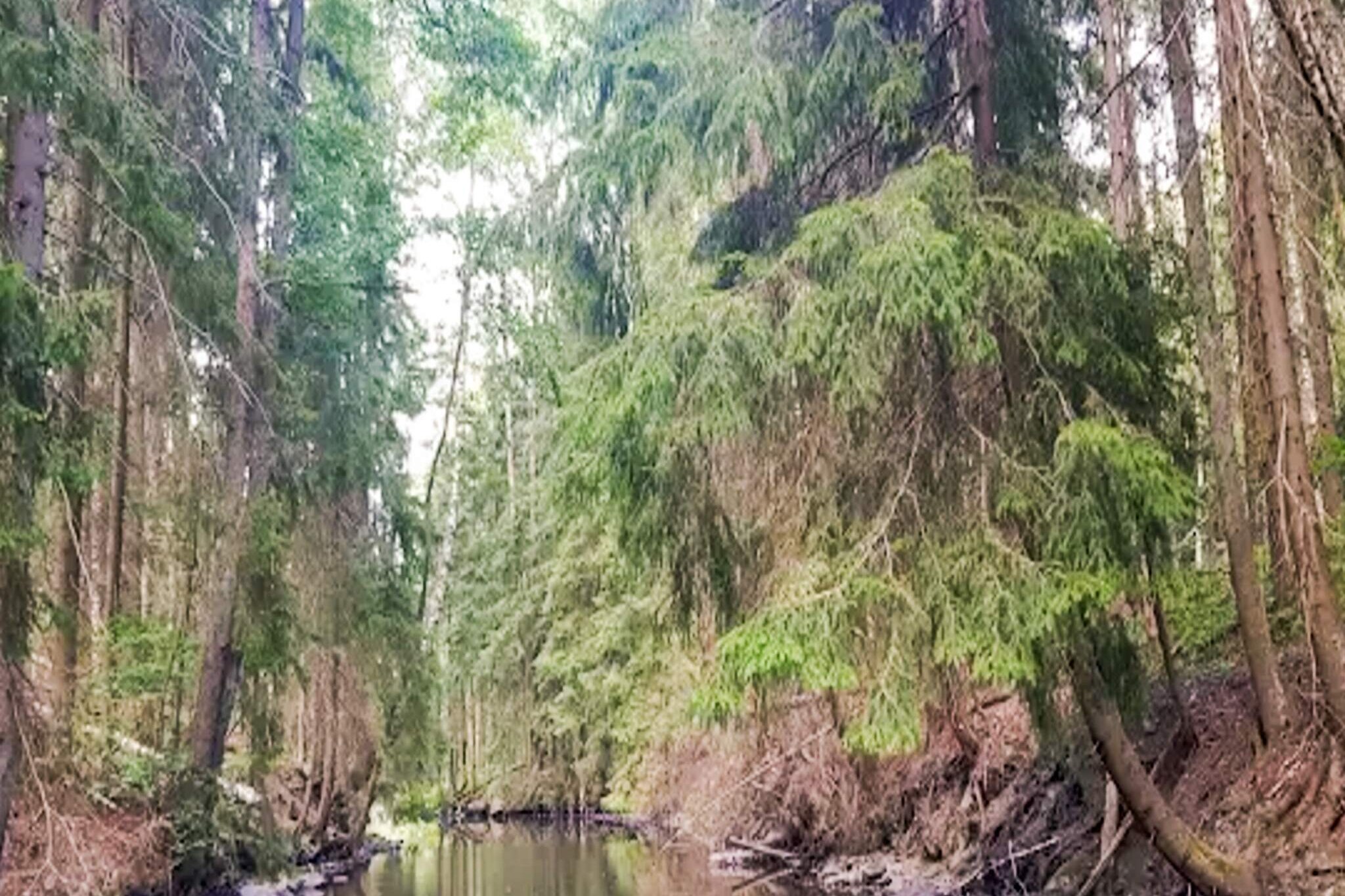 Maison de vacances pour 4 a GRÄNNA-By Traum-Vue sur l'eau