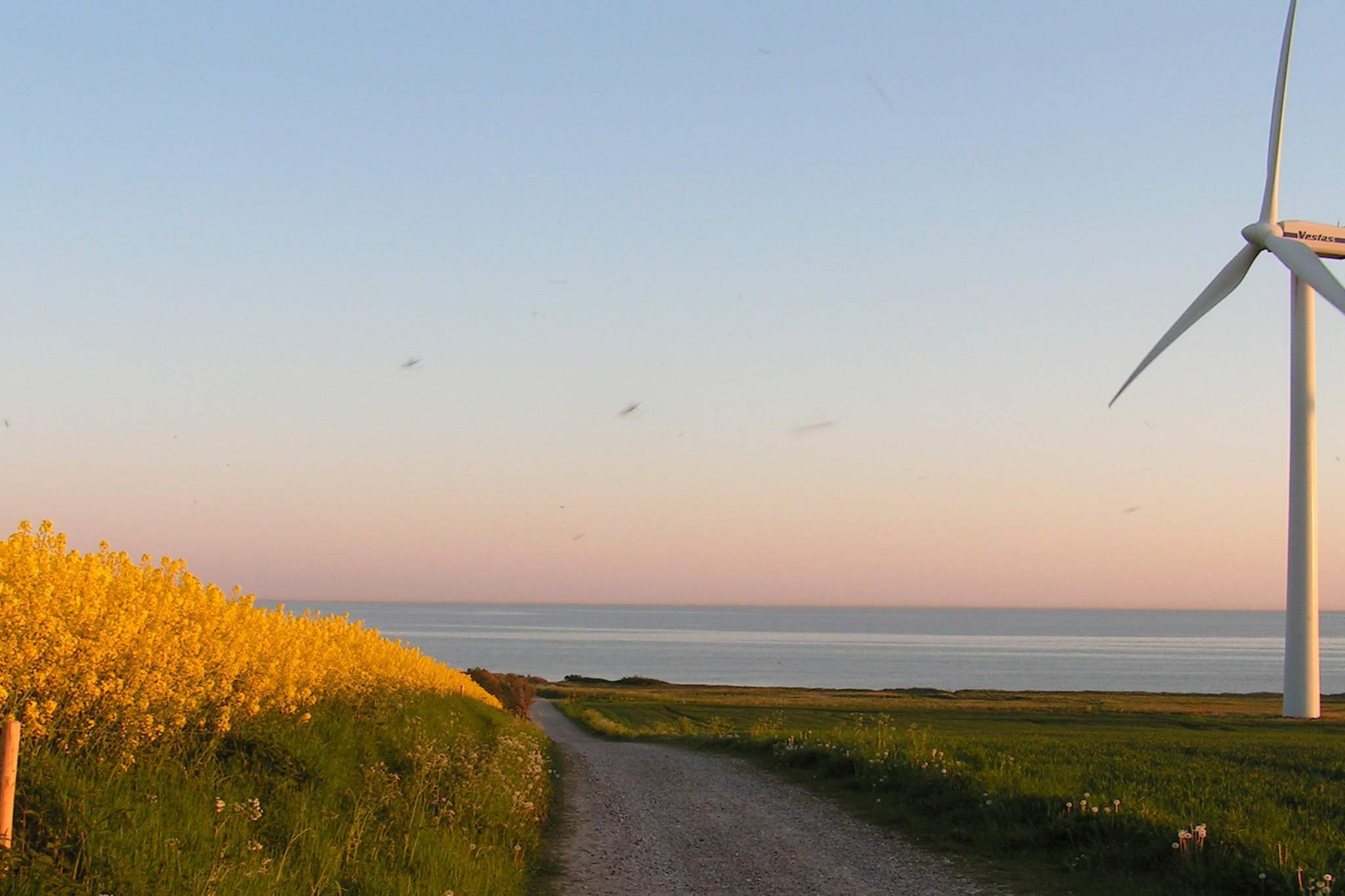 4 person holiday home in Ærøskøbing-By Traum