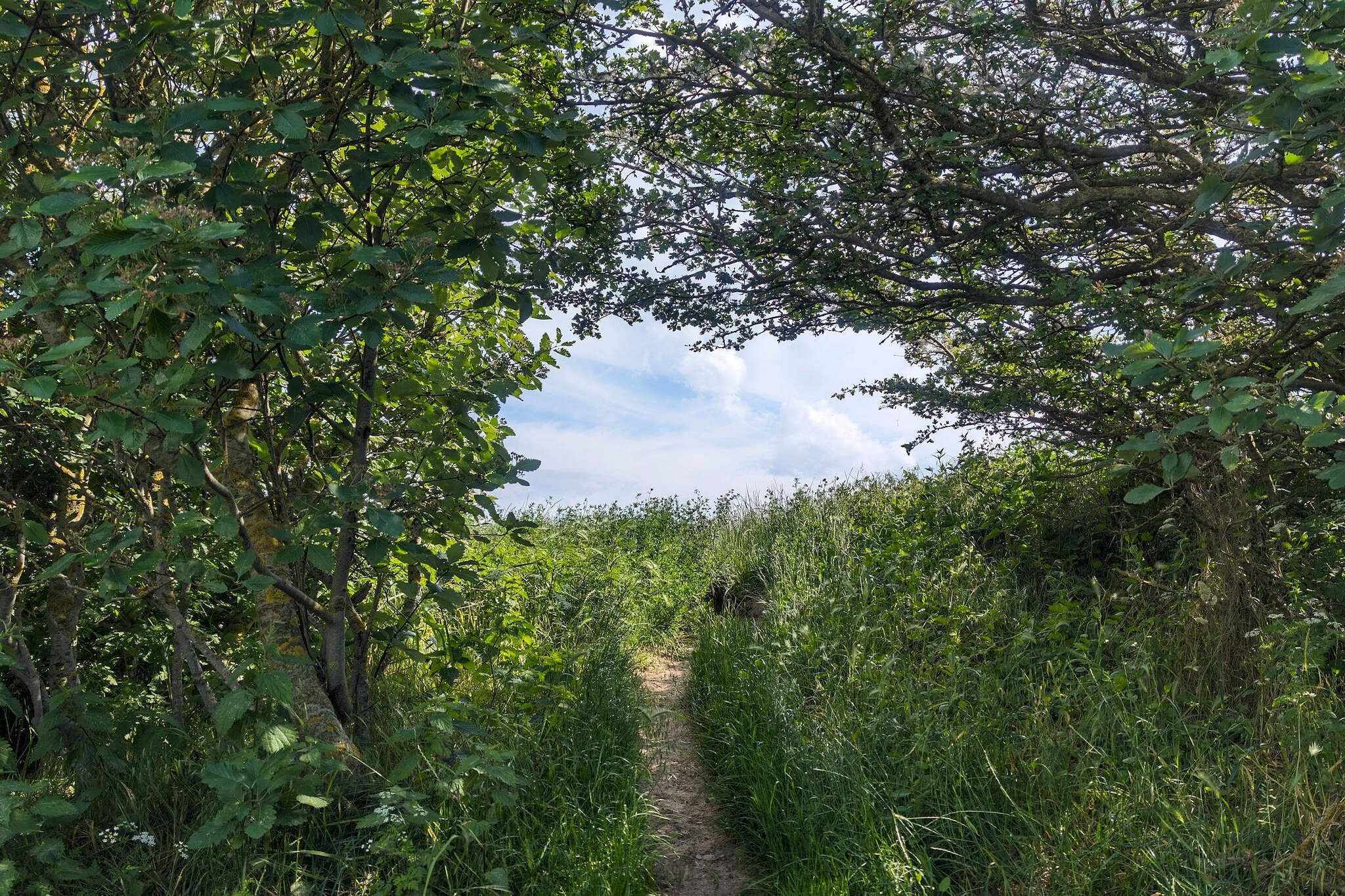 6 persoons vakantie huis in Humble-By Traum-Niet-getagd