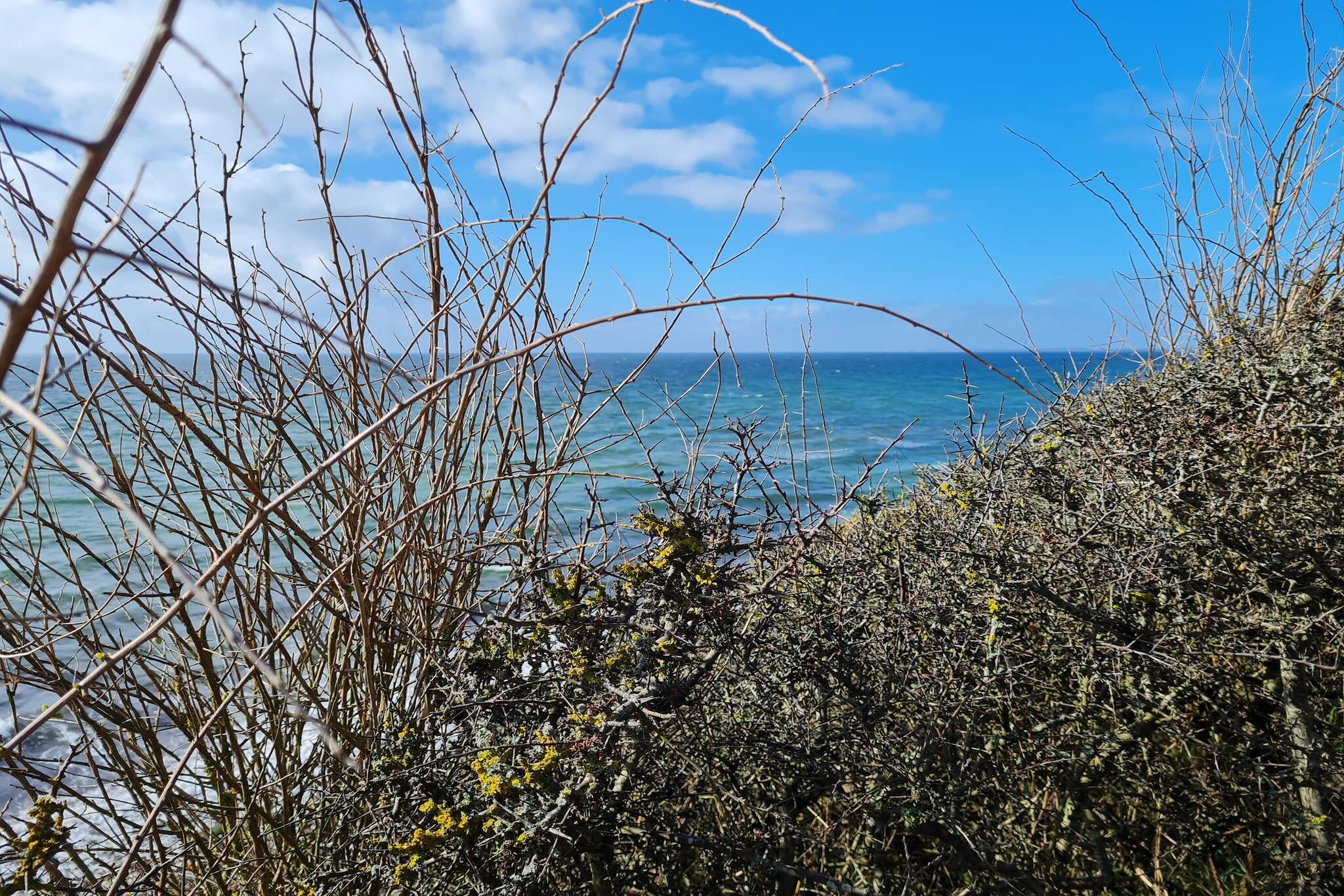 6 persoons vakantie huis in Humble-By Traum-Niet-getagd