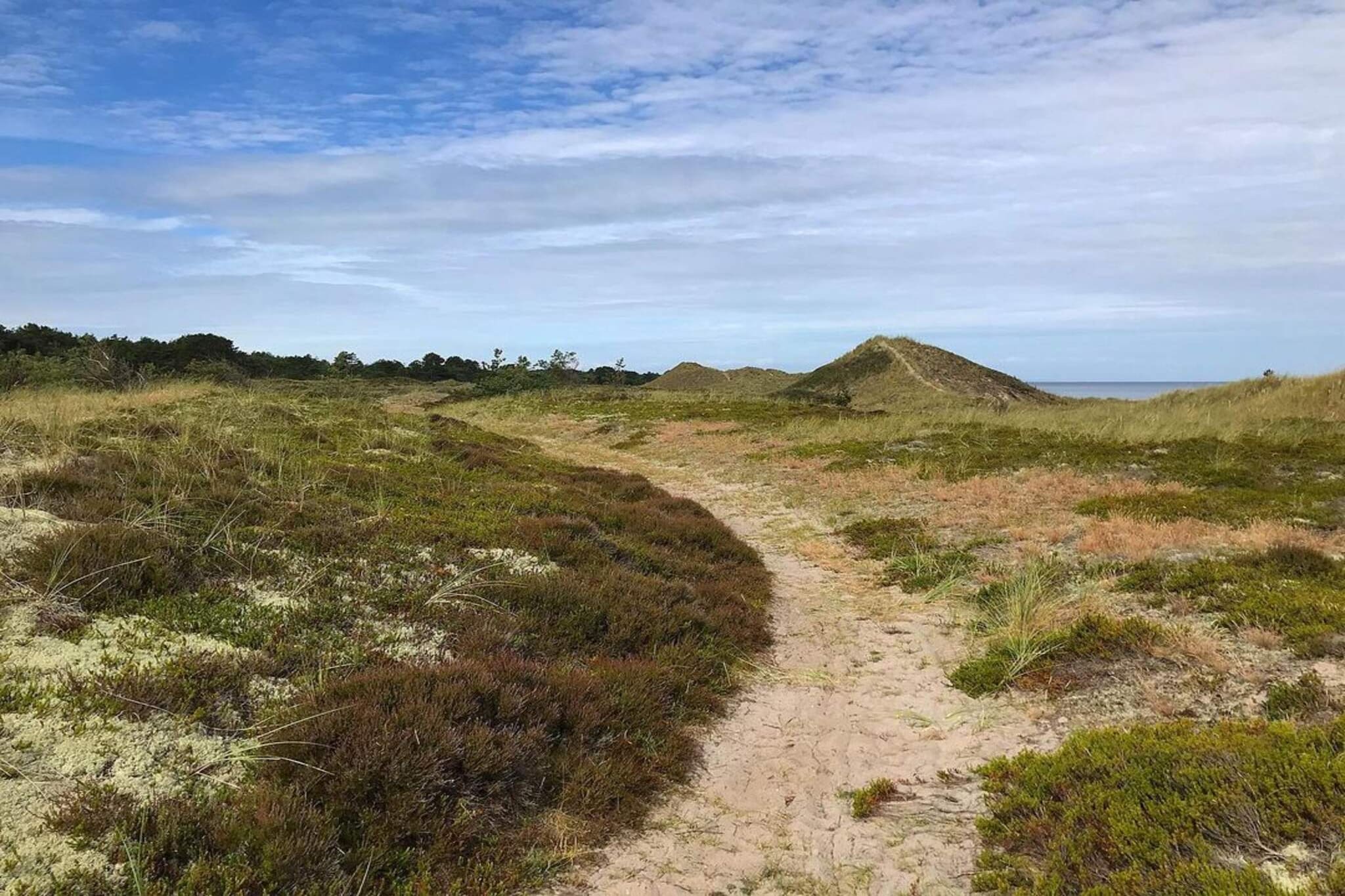 6 persoons vakantie huis in Læsø-By Traum