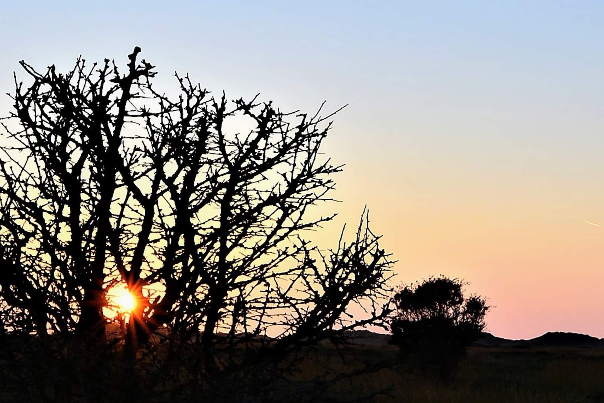 6 persoons vakantie huis in Læsø-By Traum-Niet-getagd