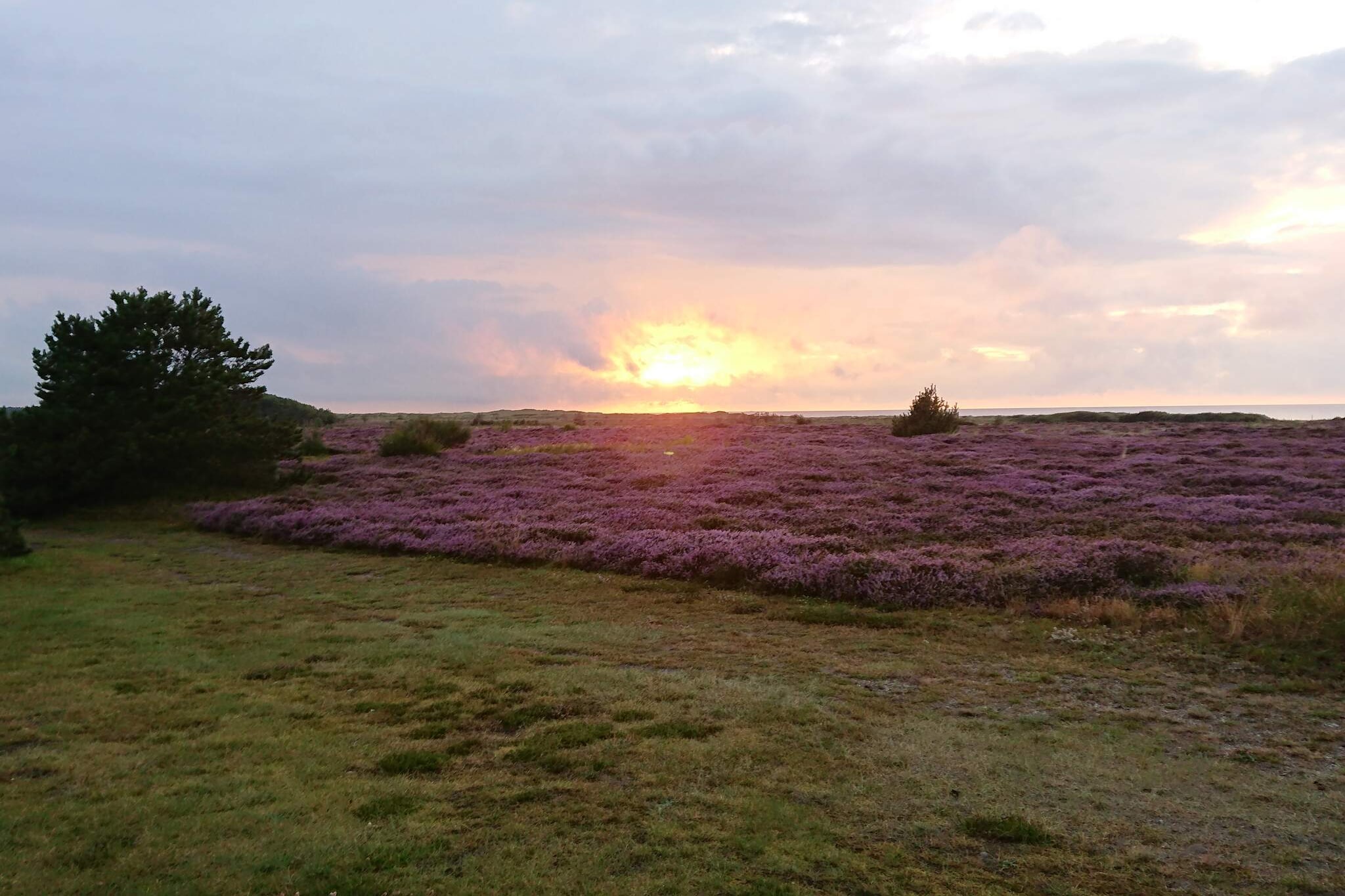 6 persoons vakantie huis in Læsø-By Traum - Niet-getagd