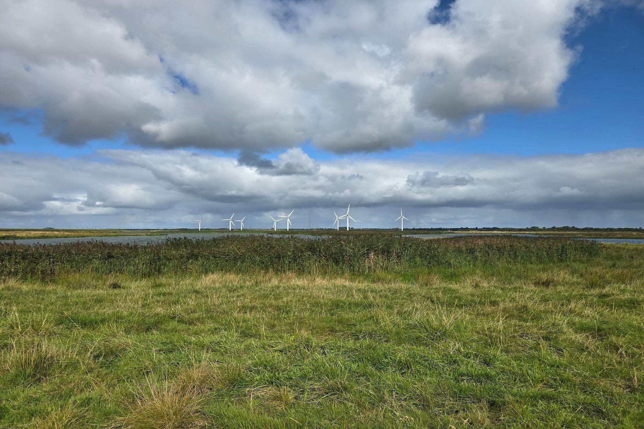 Maison de vacances pour 4 a Bramming-By Traum-Non tagué