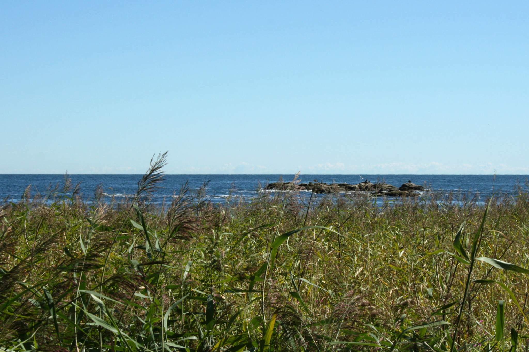 open kitchen(cooker(4 ring stoves, gas), hood, coffee machine, fridge(+ freezer), freezer(60-99L), washing machine(shared with other guests)), Living/bed room(TV(satellite), radio), bedroom(double bed, children\'s bed), bedroom(2x single bed), bathroom(bathtub or shower, washbasin, toilet), heating(central), terrace(15 m2), BBQ, fish cleaning table