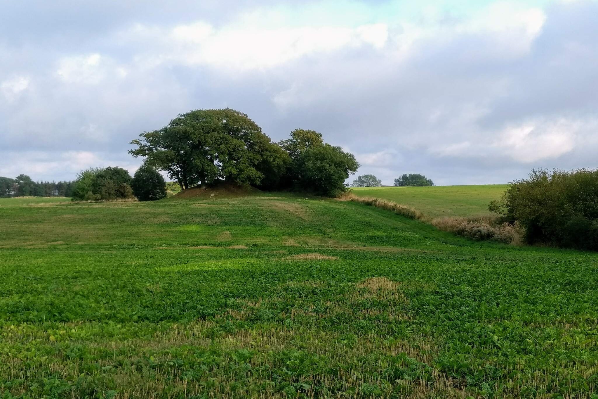 Zeezicht Idylle in Svaneke -- By Traum Ferienwohnungen-Niet-getagd