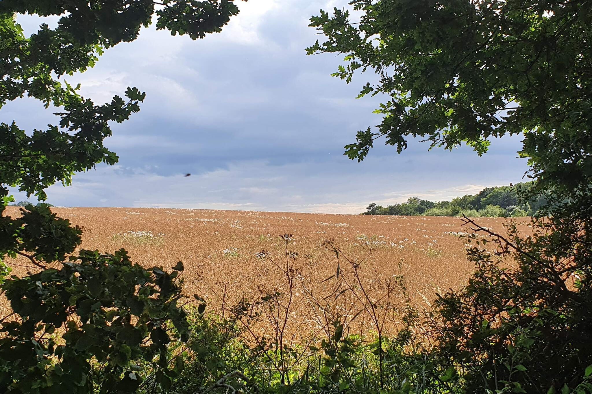 Zeezicht Idylle in Svaneke -- By Traum Ferienwohnungen-Niet-getagd