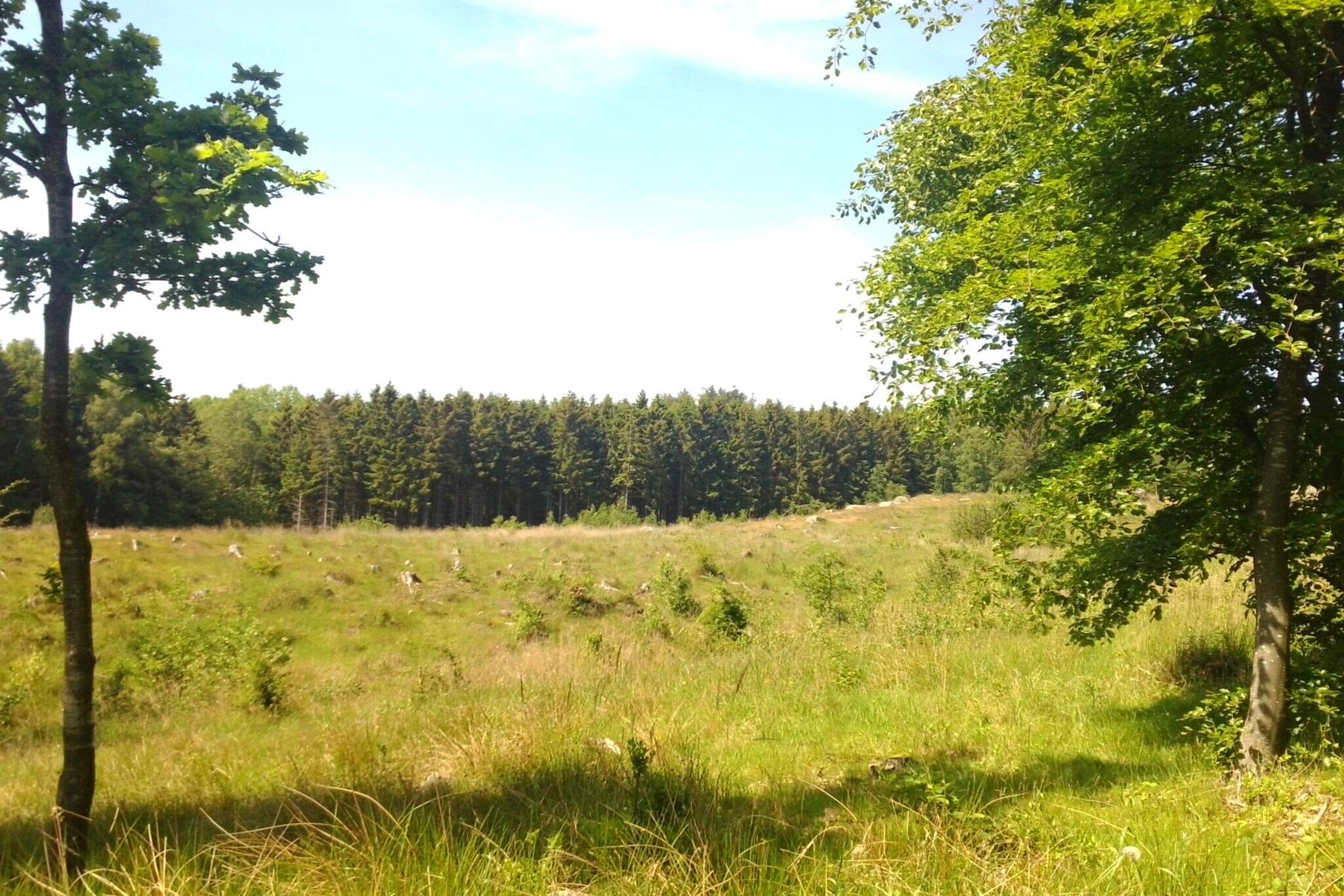 Zeezicht Idylle in Svaneke -- By Traum Ferienwohnungen-Niet-getagd