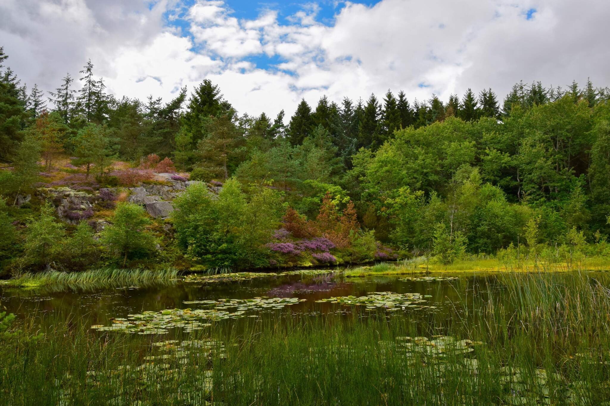Zeezicht Idylle in Svaneke -- By Traum Ferienwohnungen-Niet-getagd