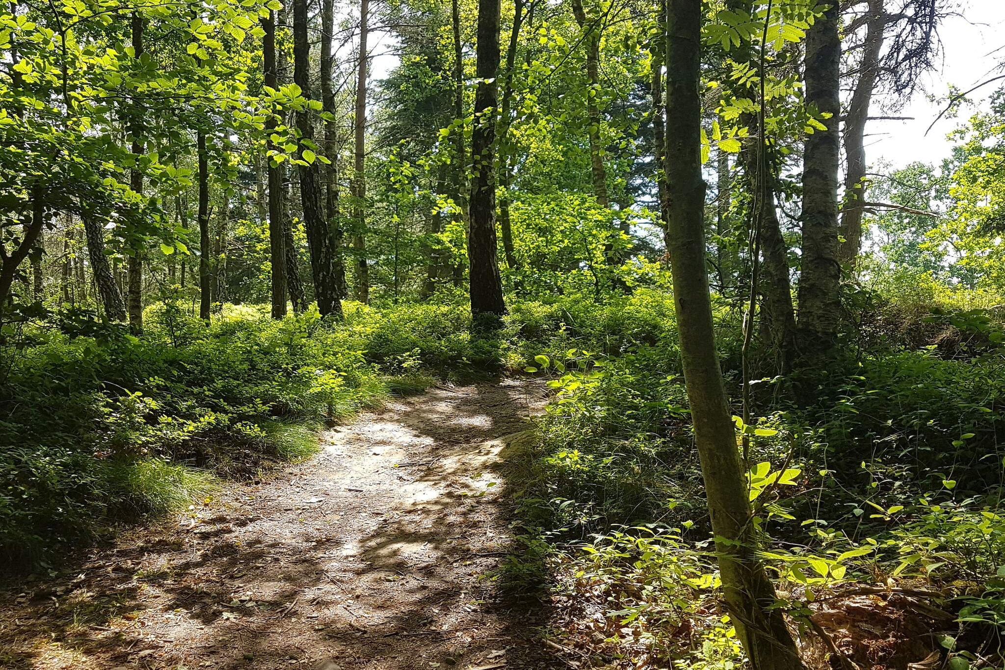 Zeezicht Idylle in Svaneke -- By Traum Ferienwohnungen-Niet-getagd