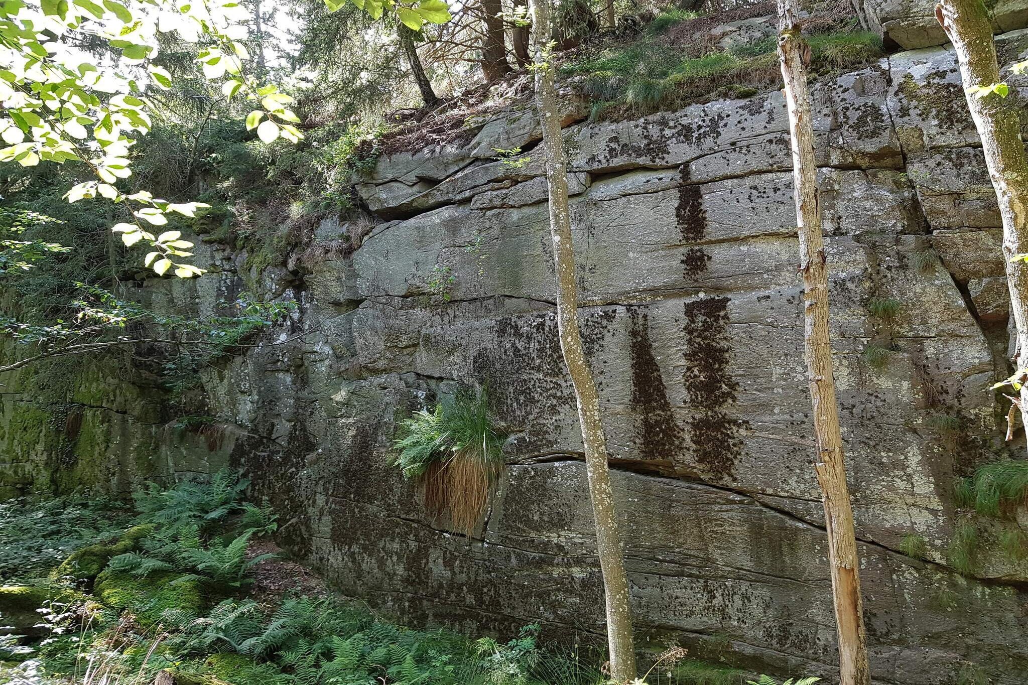 Zeezicht Idylle in Svaneke -- By Traum Ferienwohnungen-Niet-getagd