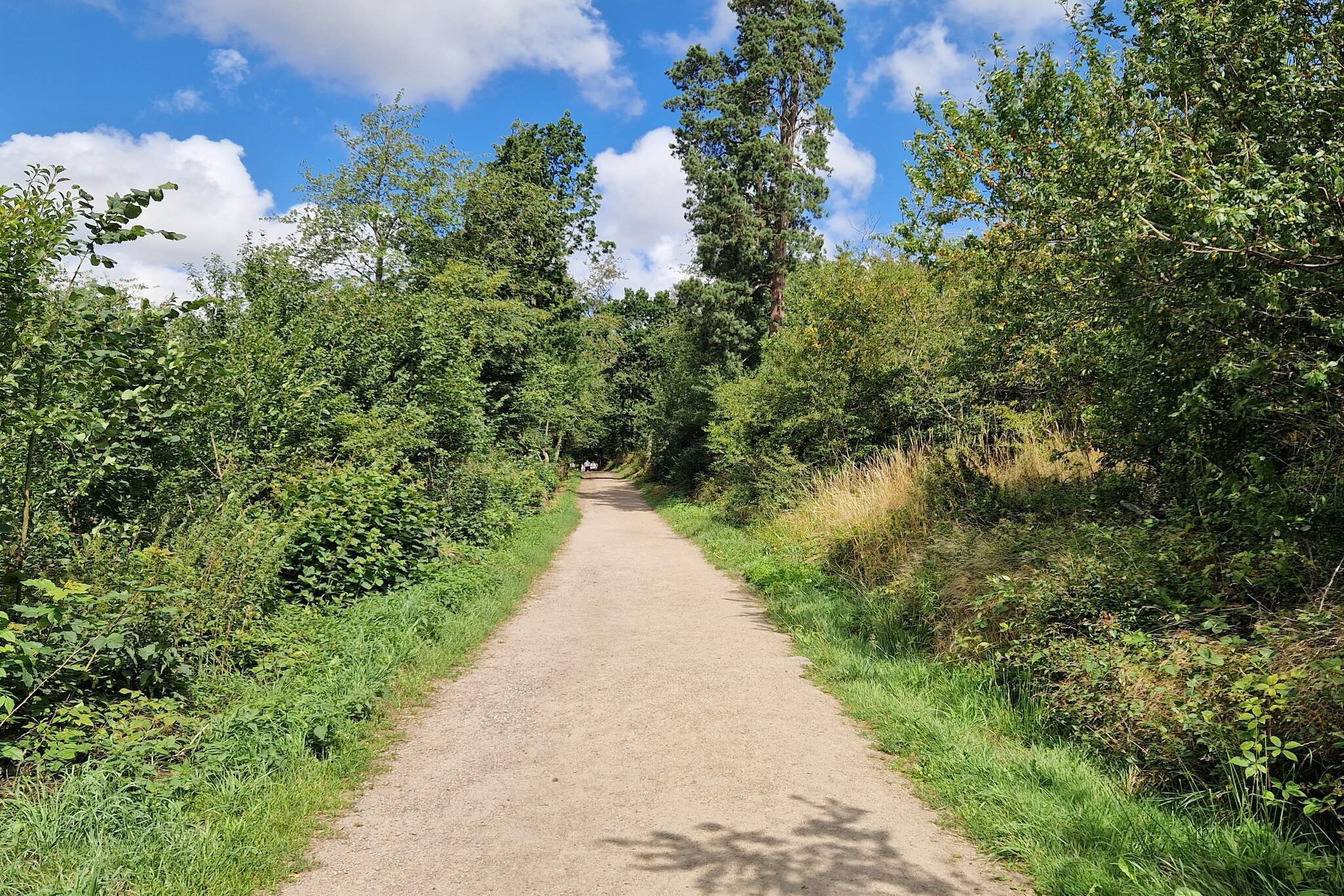 Zeezicht Idylle in Svaneke -- By Traum Ferienwohnungen-Niet-getagd