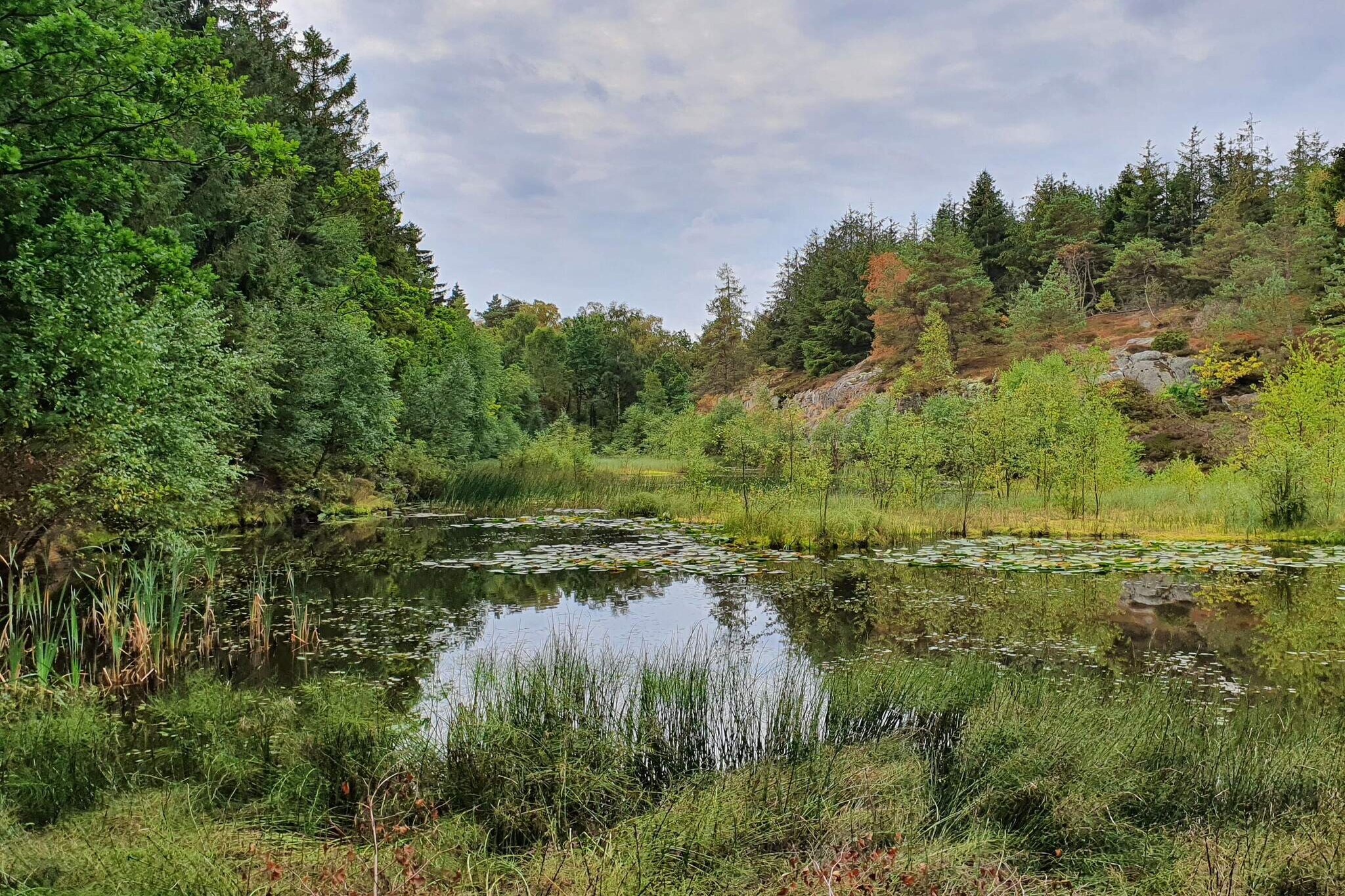 Zeezicht Idylle in Svaneke -- By Traum Ferienwohnungen-Niet-getagd
