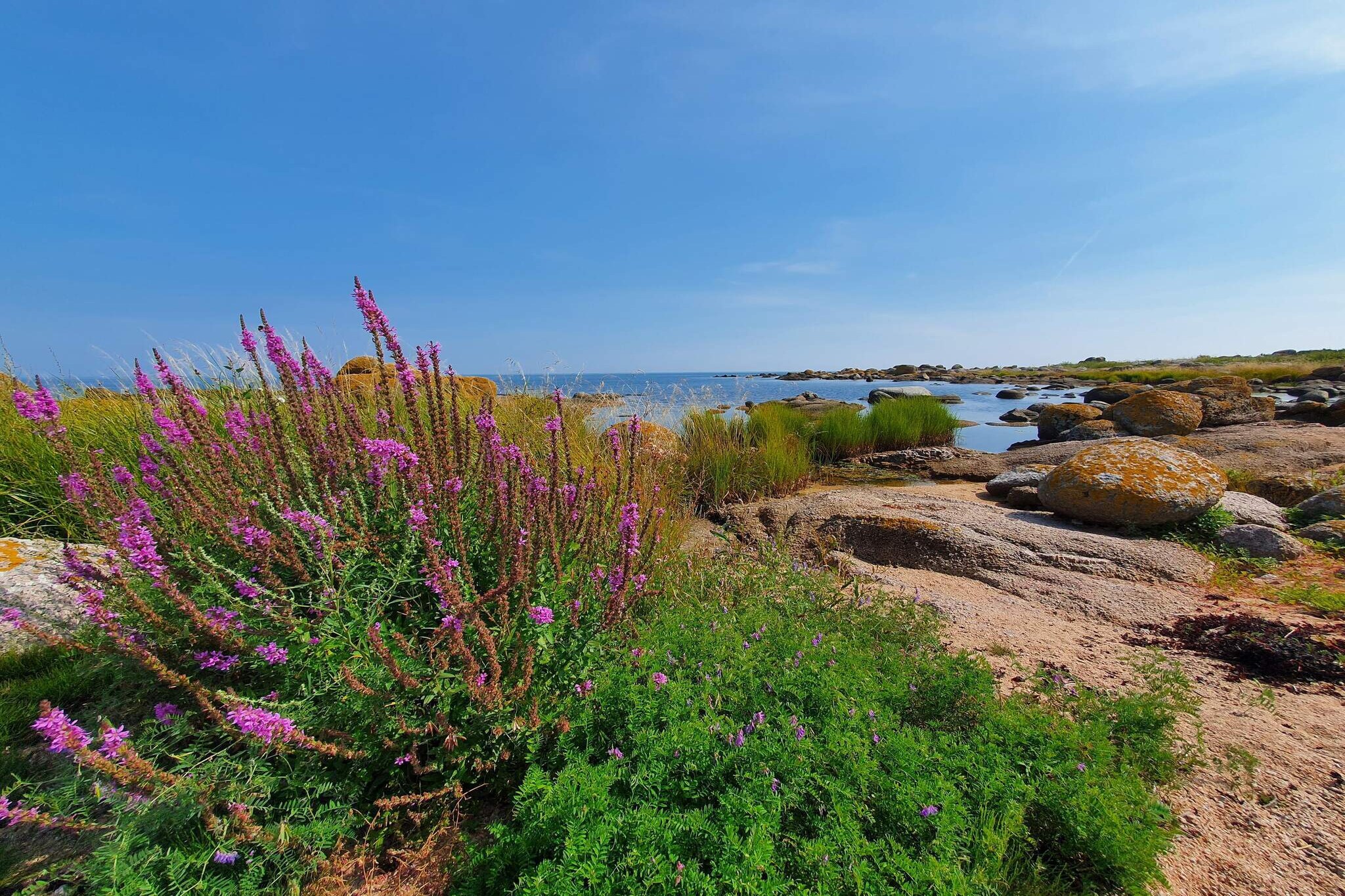 Zeezicht Idylle in Svaneke -- By Traum Ferienwohnungen-Waterzicht
