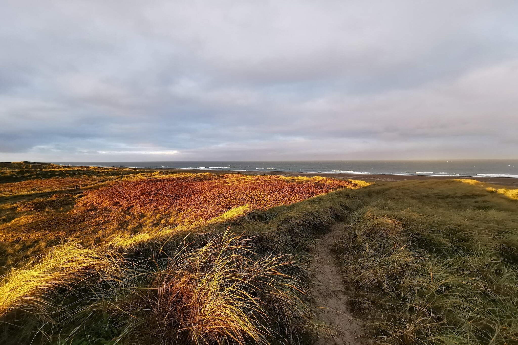 7 persoons vakantie huis in Thisted-By Traum-Niet-getagd