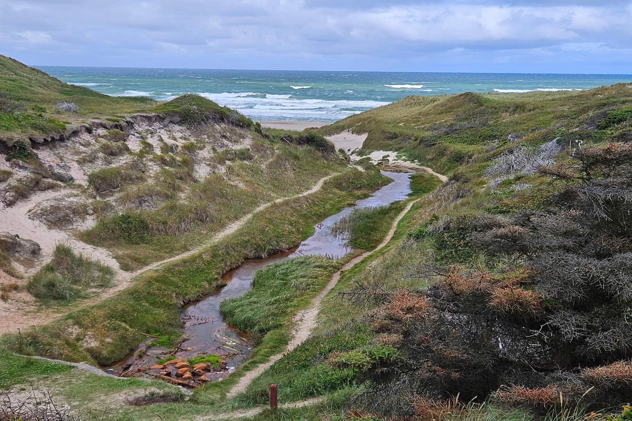 7 persoons vakantie huis in Thisted-By Traum-Niet-getagd