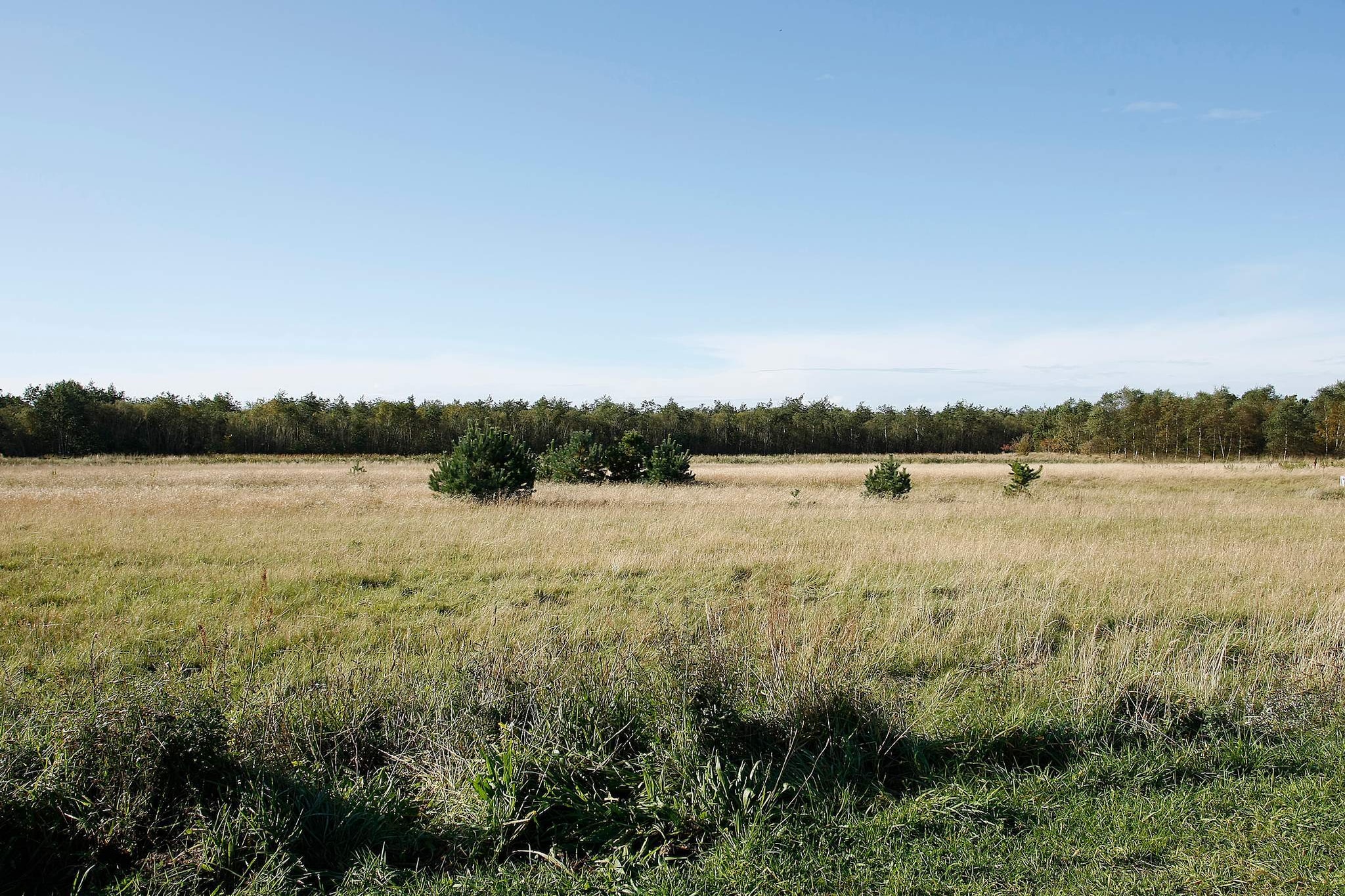 Luxus-Refugium in Bratten - Aussicht