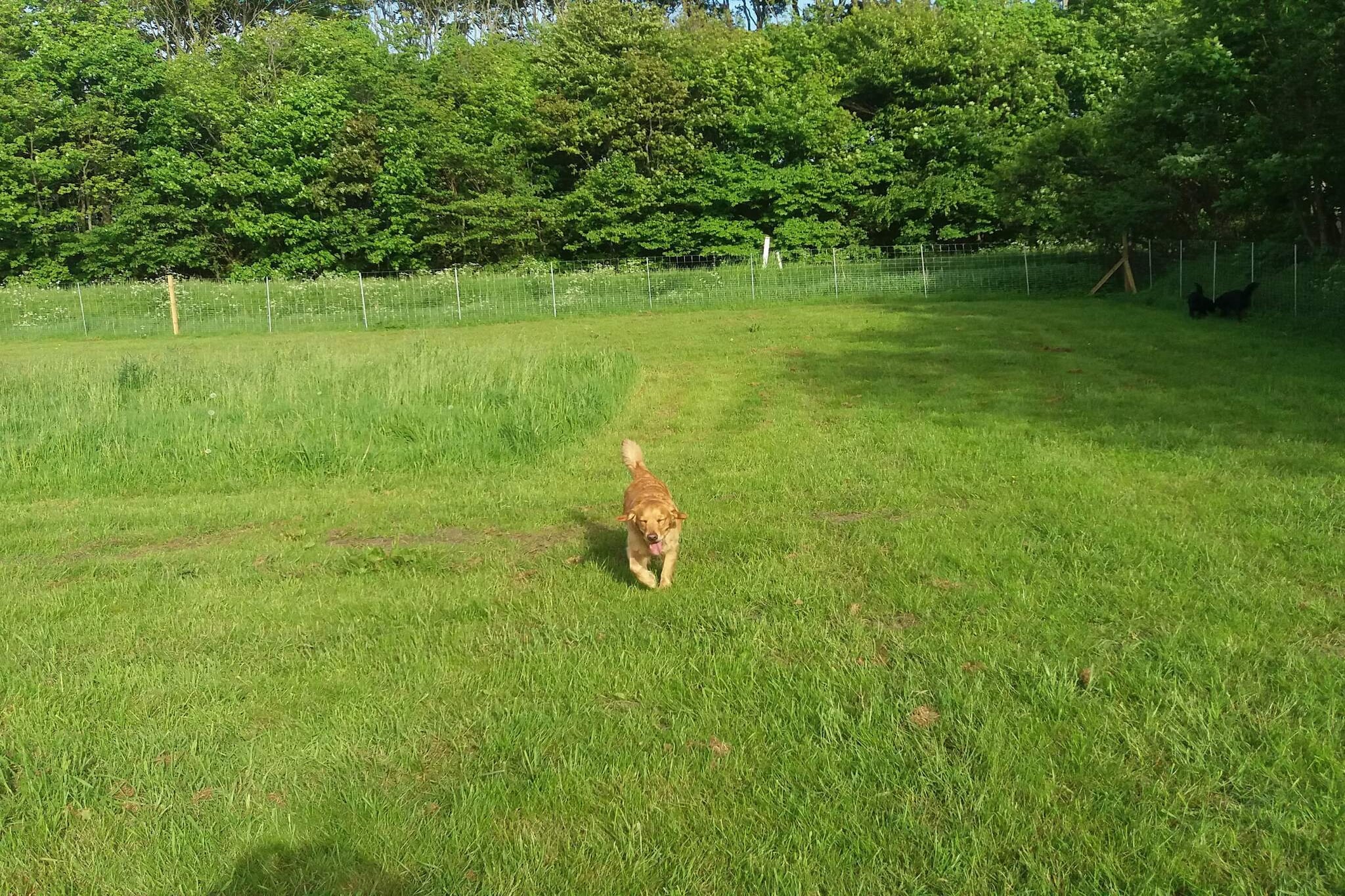 4 persoons vakantie huis in Nibe-By Traum-Niet-getagd