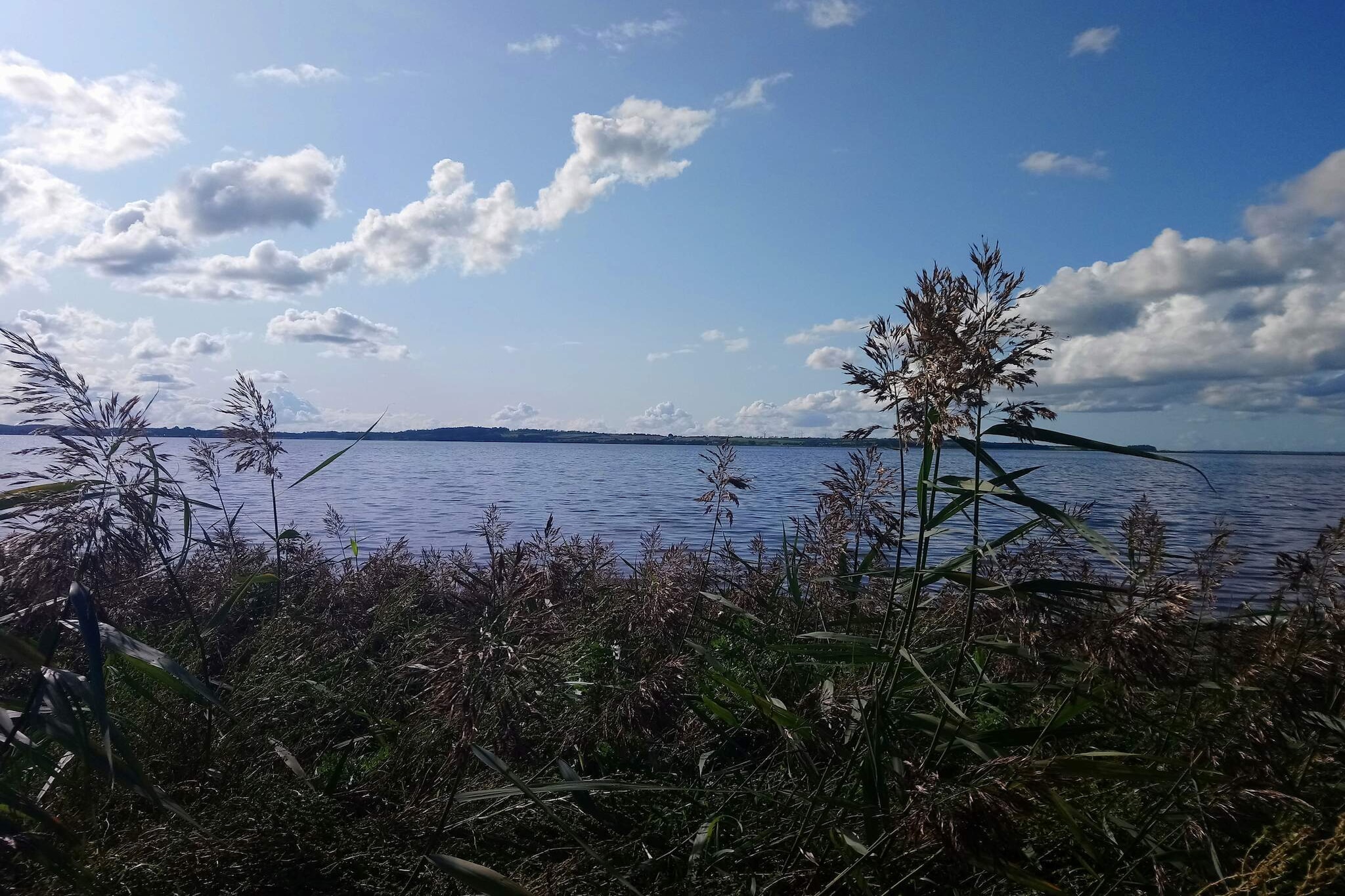 4 persoons vakantie huis in Nibe-By Traum-Waterzicht