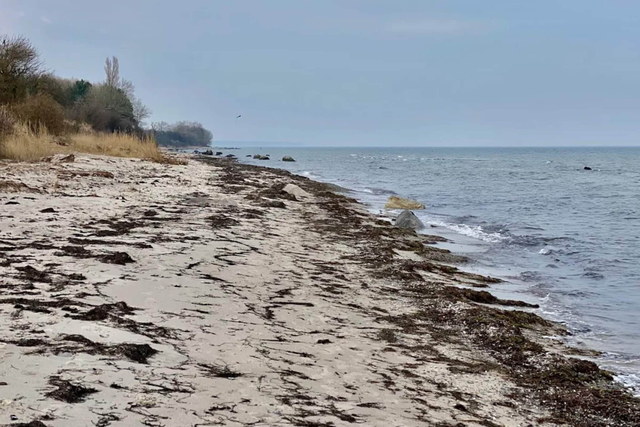 14 persoons vakantie huis in Idestrup-By Traum-Waterzicht